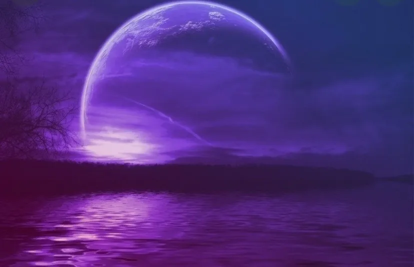 Foxyvixen_dreams OnlyFans header