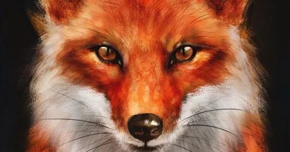 Foxy🦊 OnlyFans header