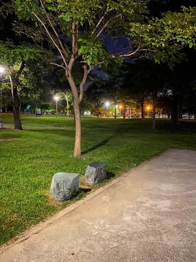 Fang OnlyFans header