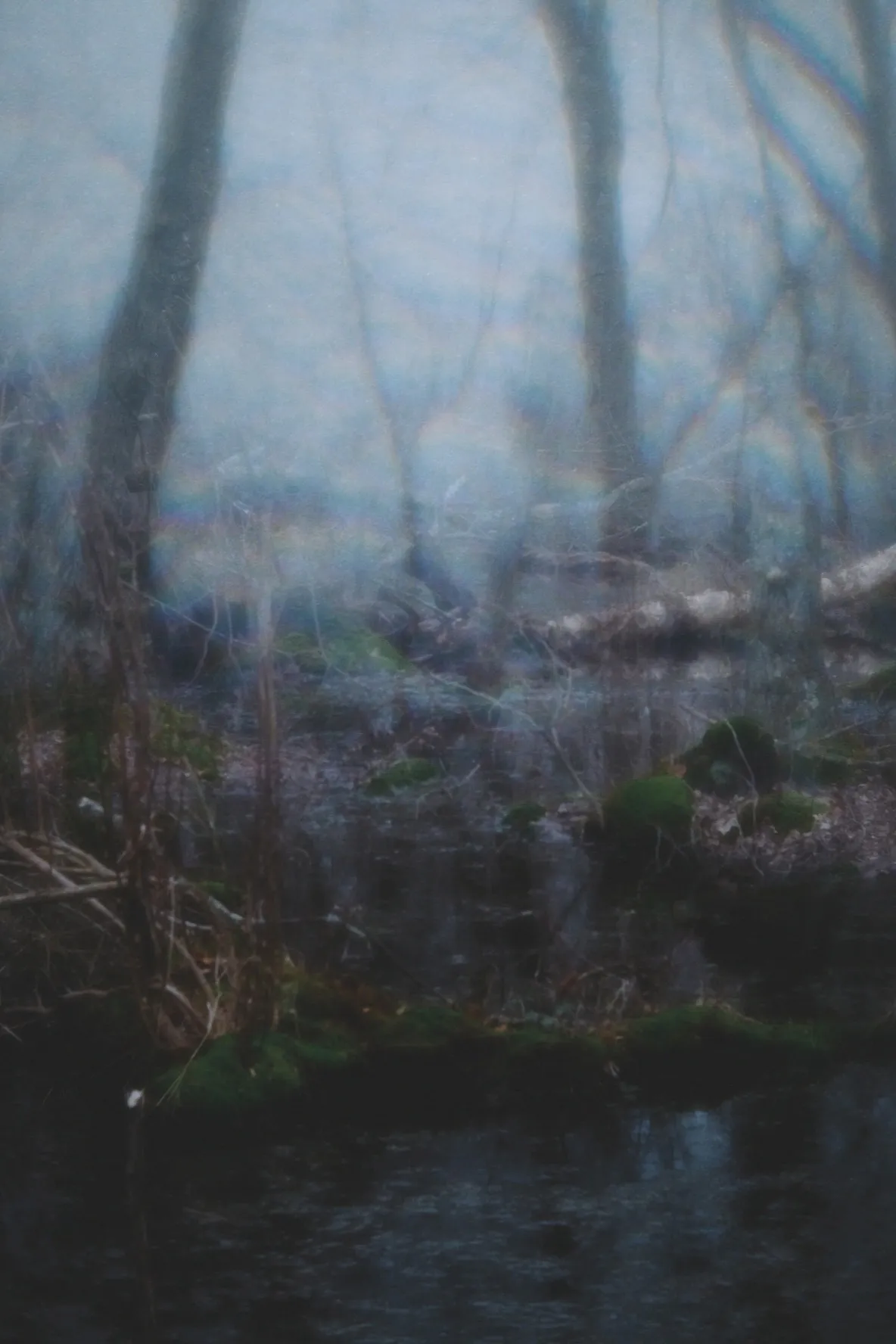 fragments cover