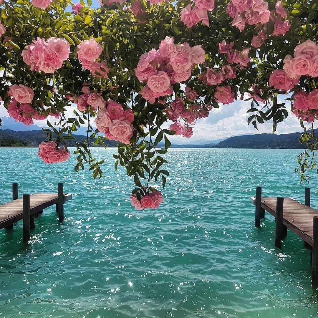 𝓕𝓻𝓪𝓲𝓵𝓾 OnlyFans header