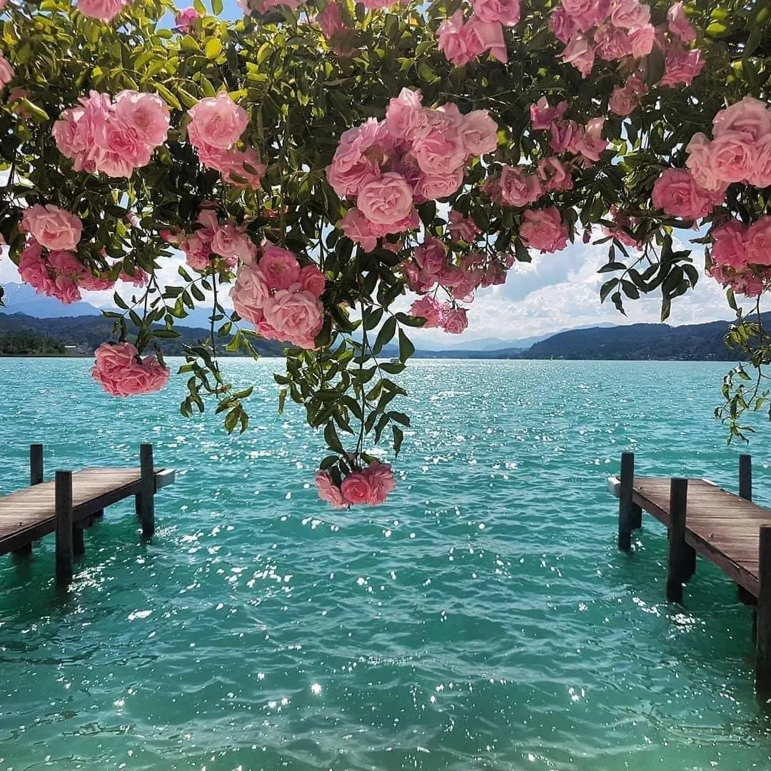 𝓕𝓻𝓪𝓲𝓵𝓾 OnlyFans header