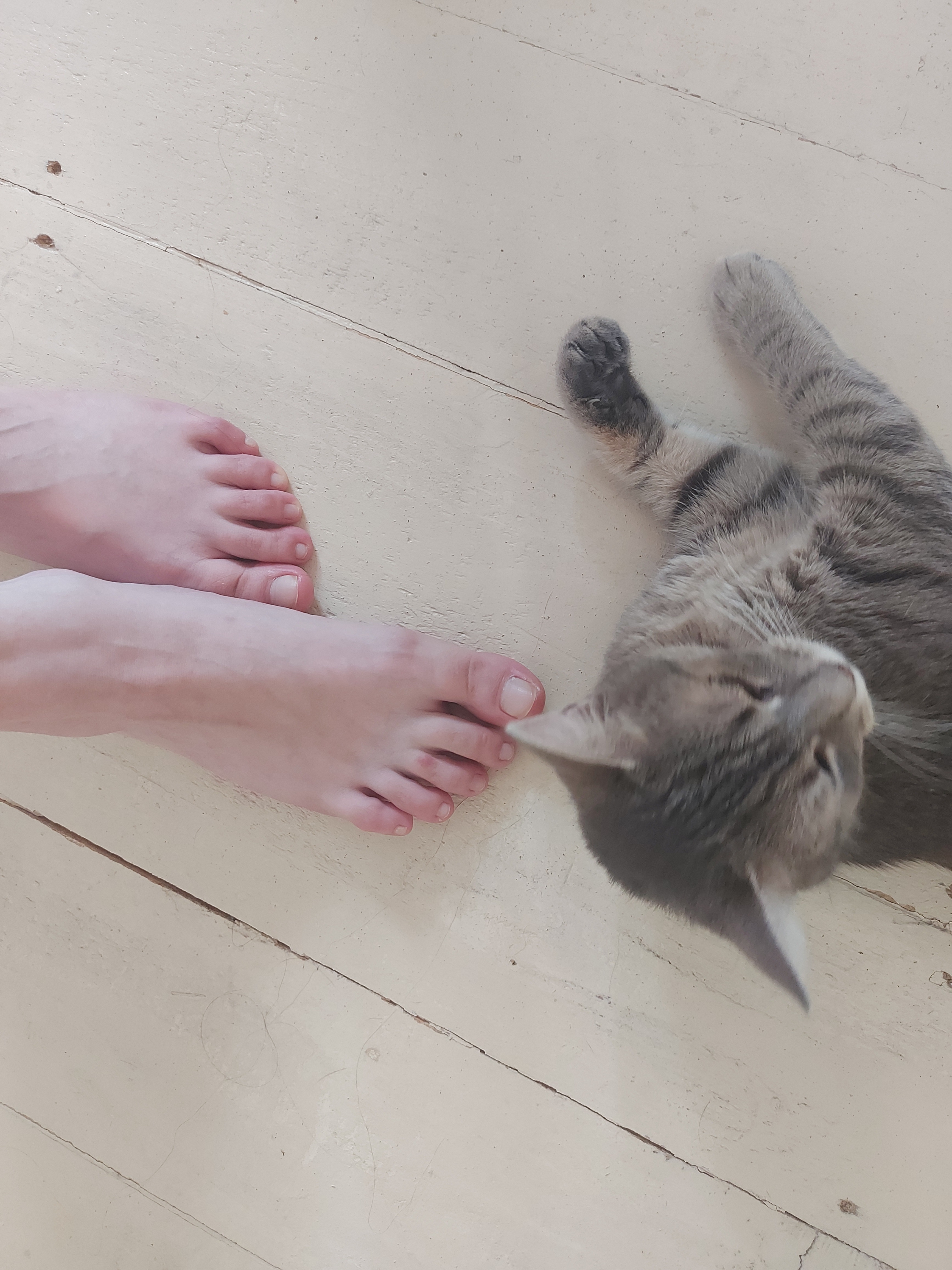 Franceska_blue OnlyFans header