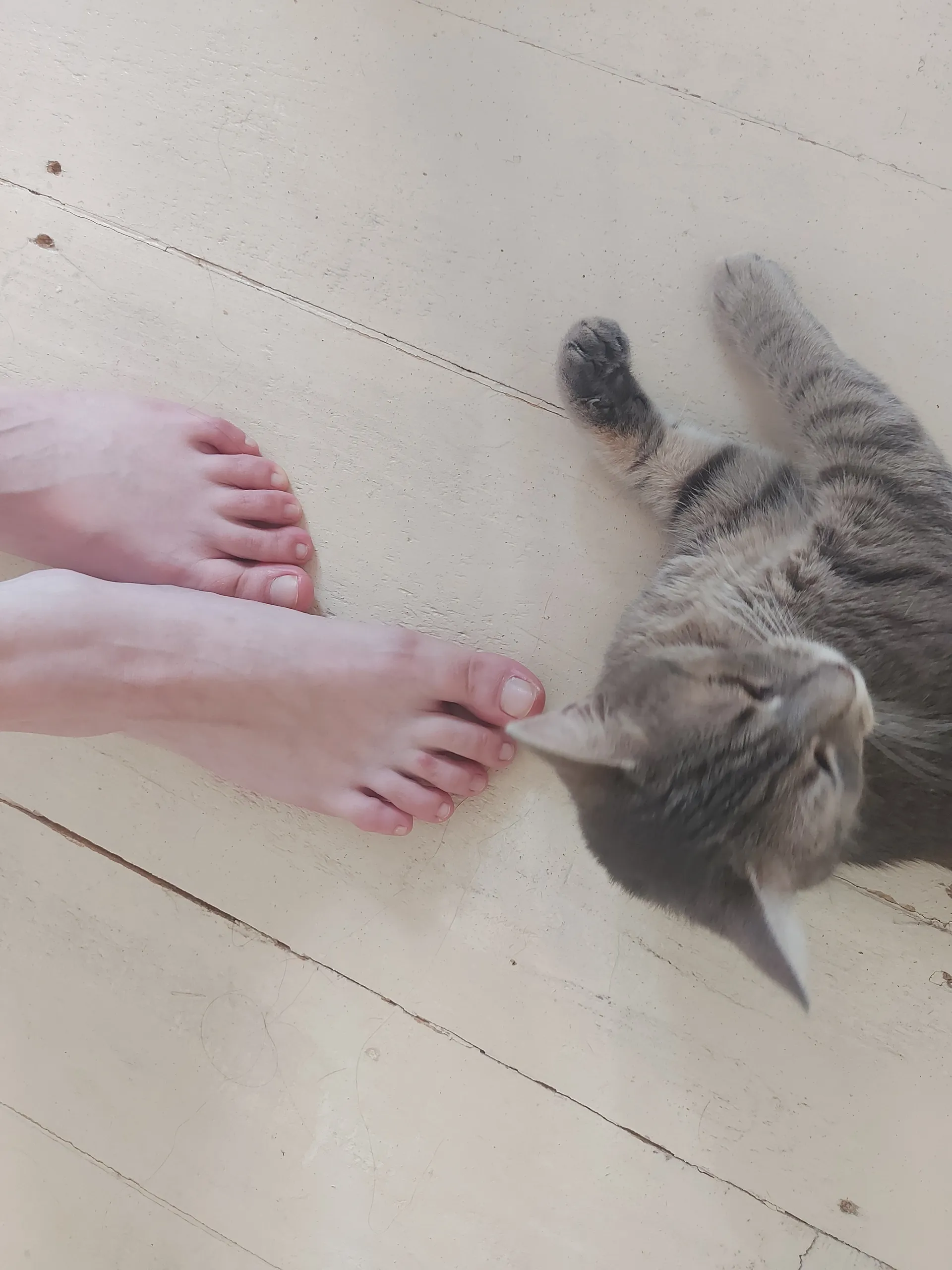 Franceska_blue OnlyFans header