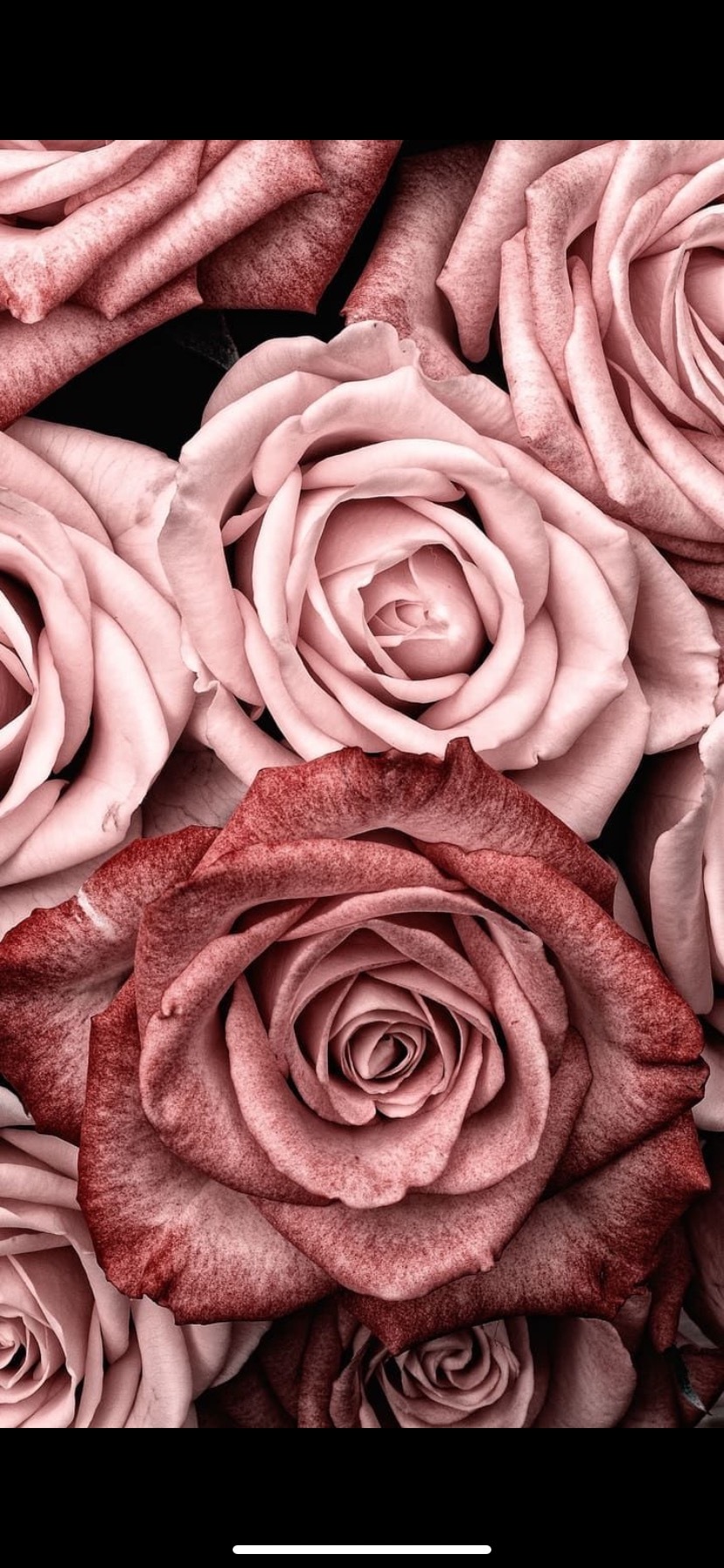 Anna PG OnlyFans header