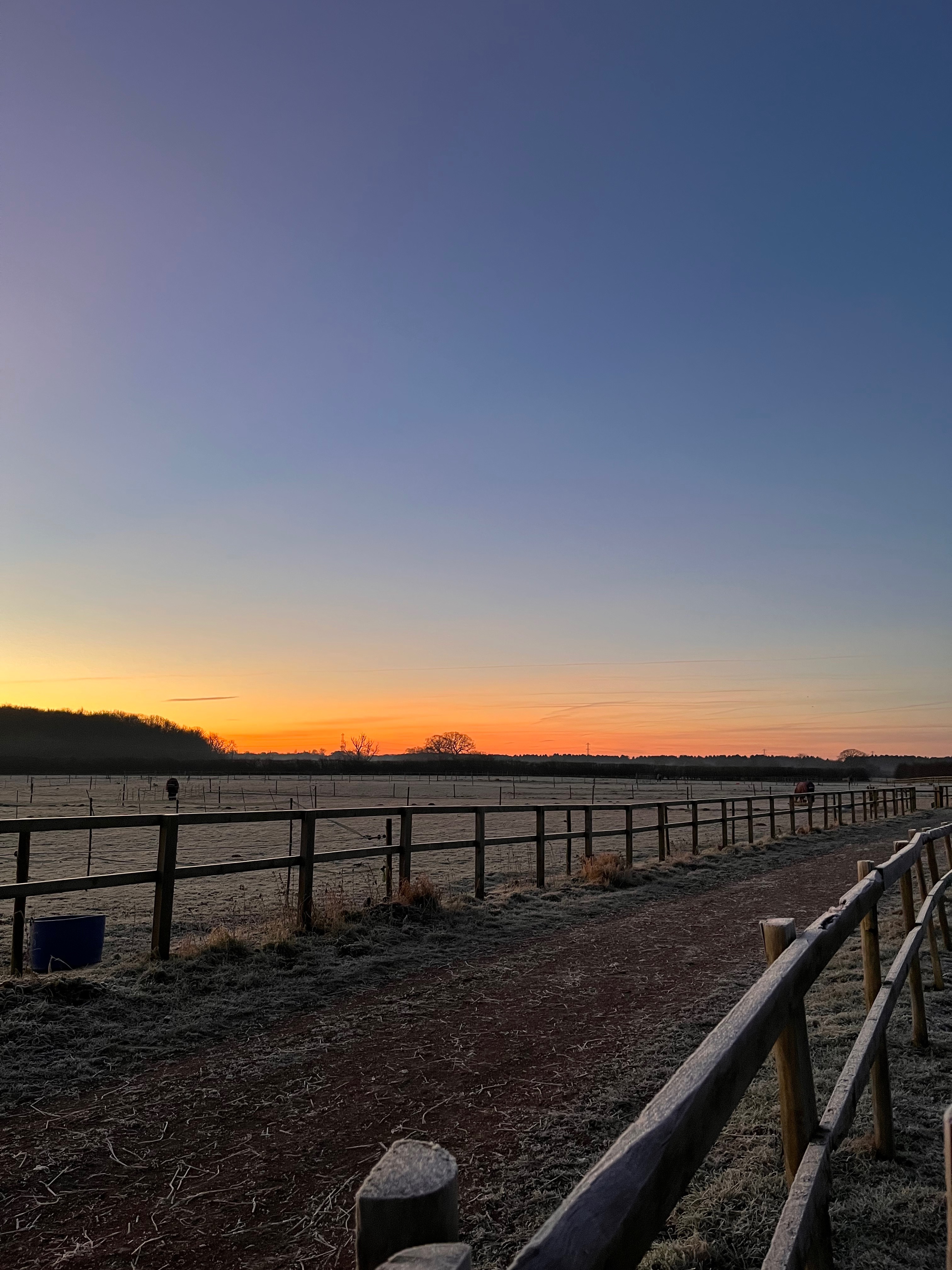 Wednesday OnlyFans header