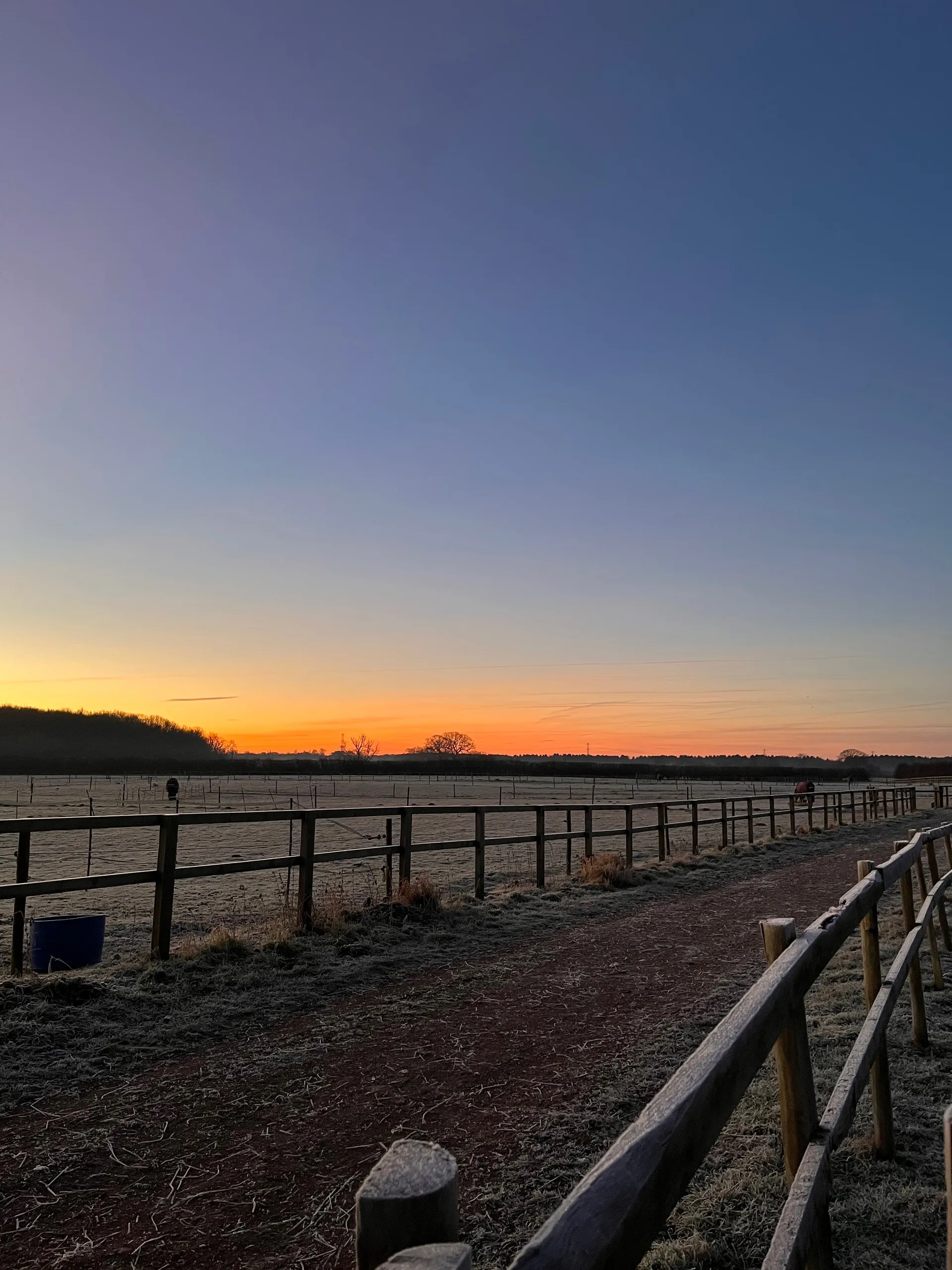 Wednesday OnlyFans header