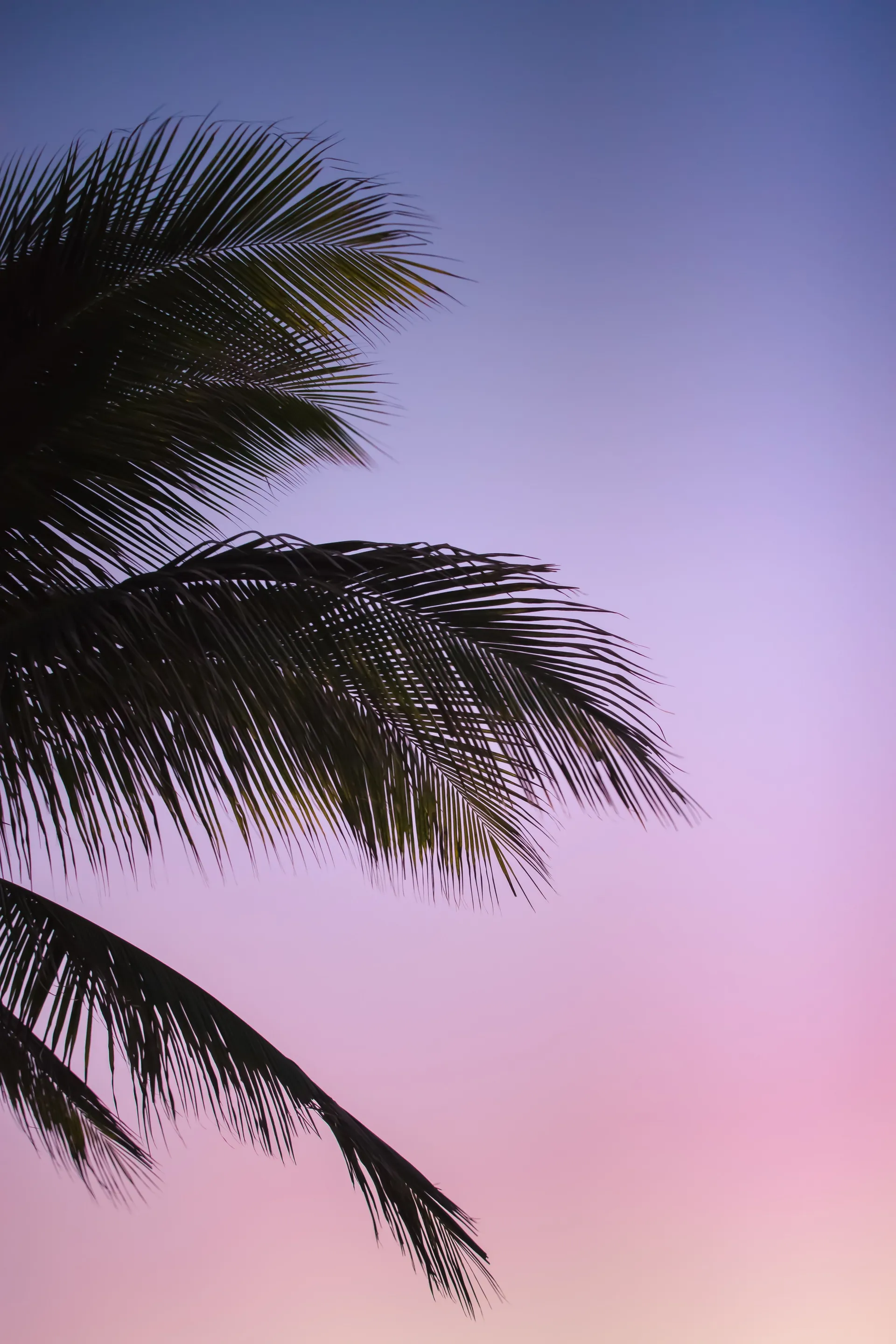 u7379194 OnlyFans header