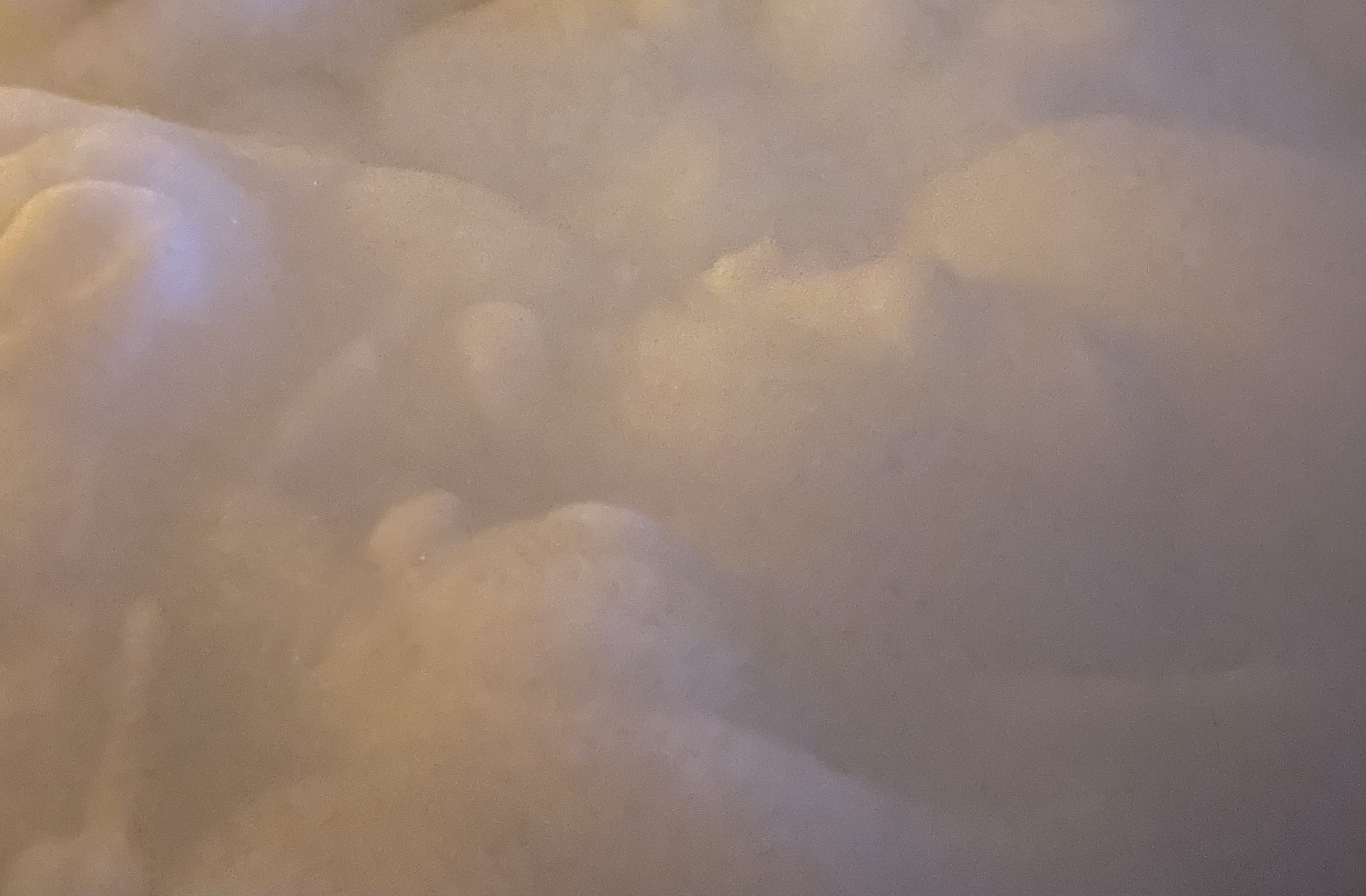 francis gale OnlyFans header