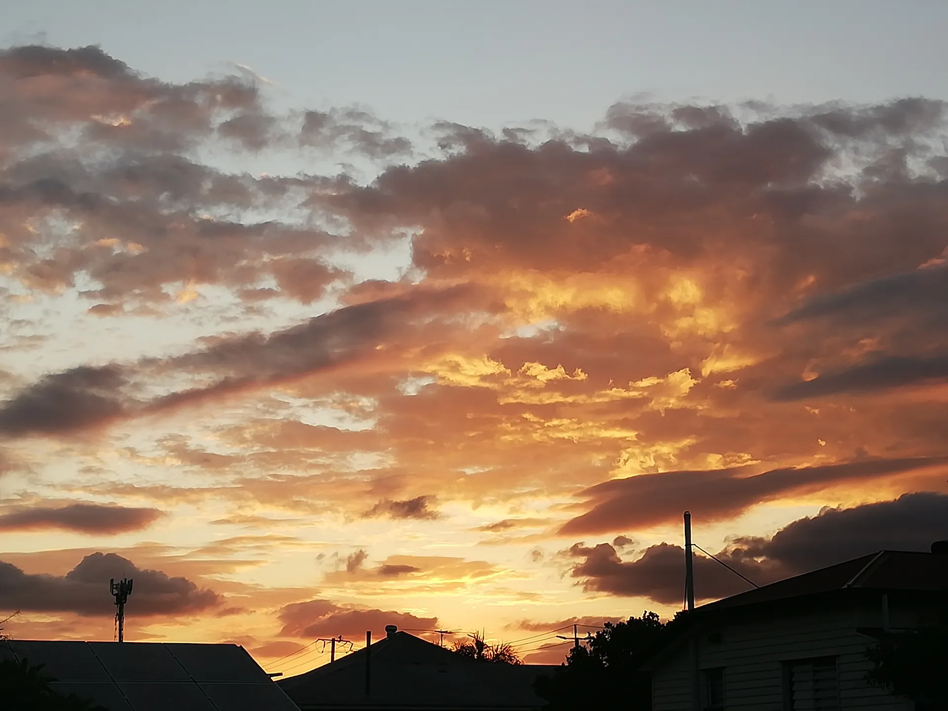 Francis OnlyFans header