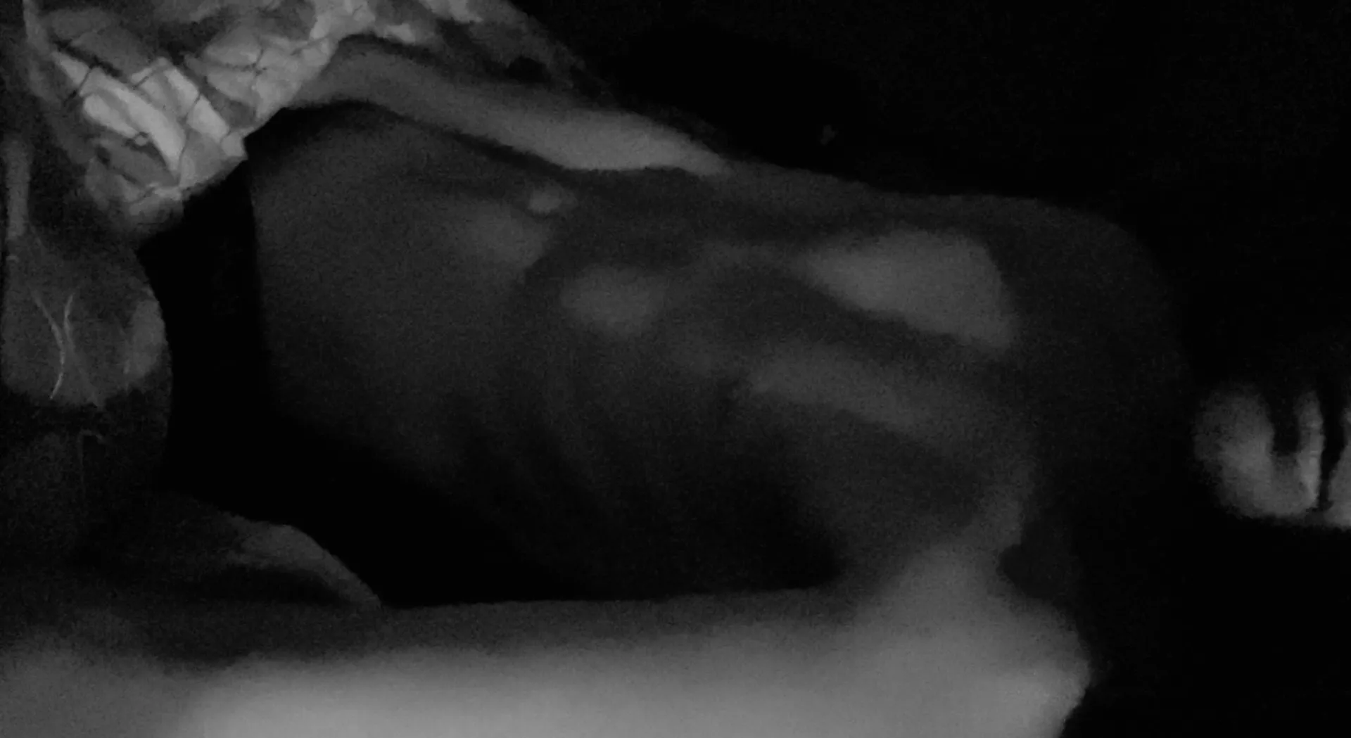 FrankCother OnlyFans header