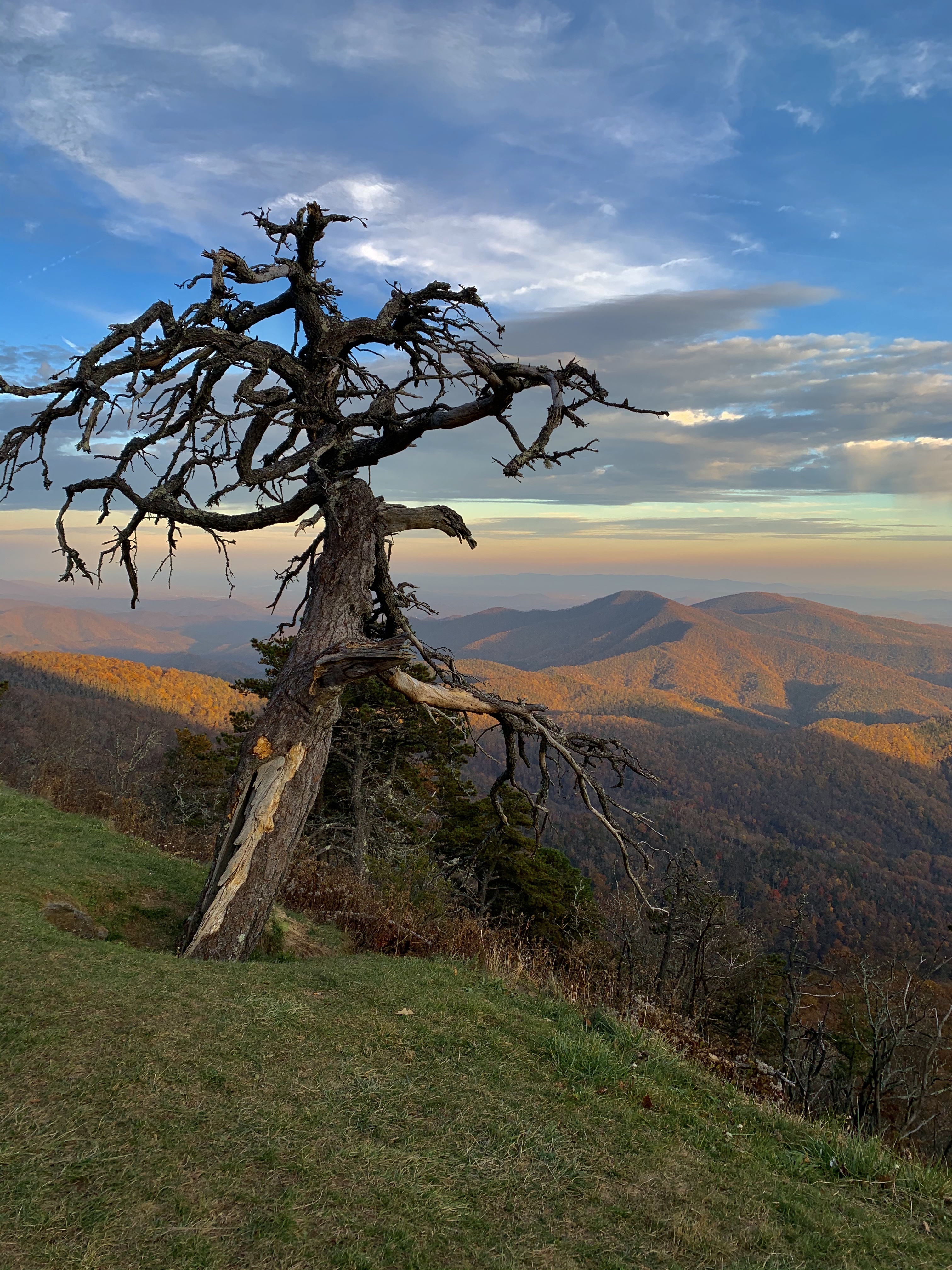 frankeeb OnlyFans header