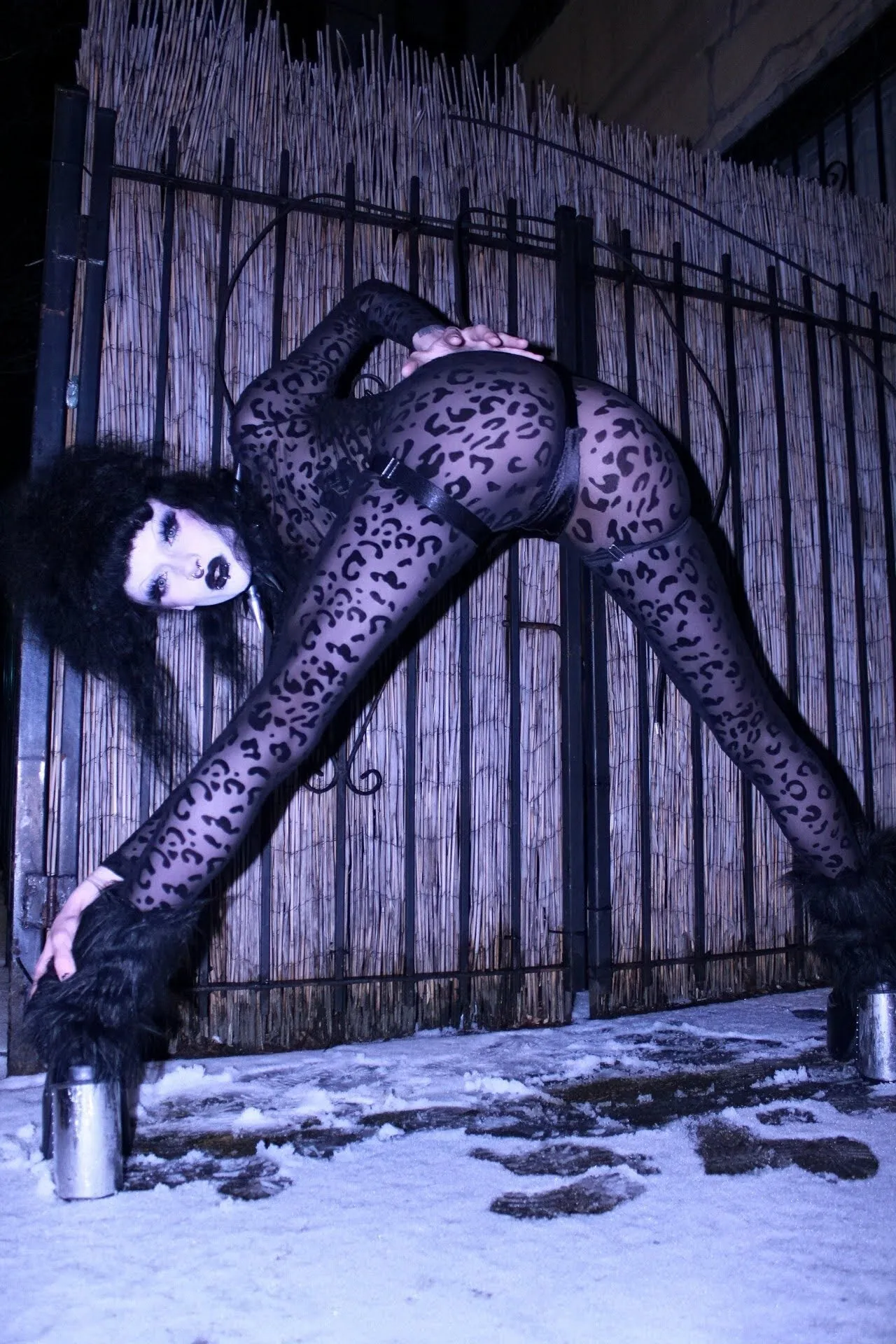 Dahlia starr OnlyFans header