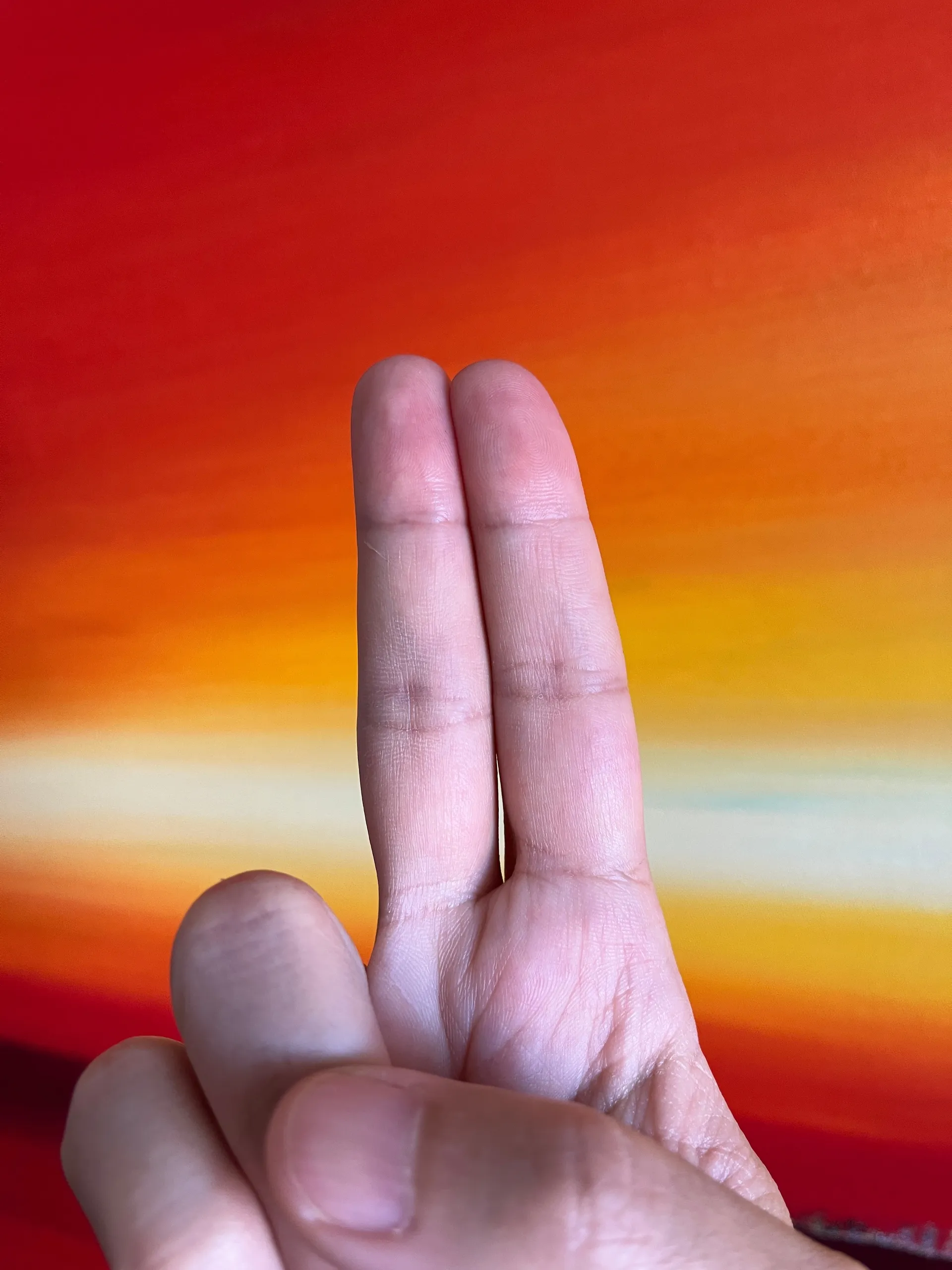 Frank Fragger OnlyFans header