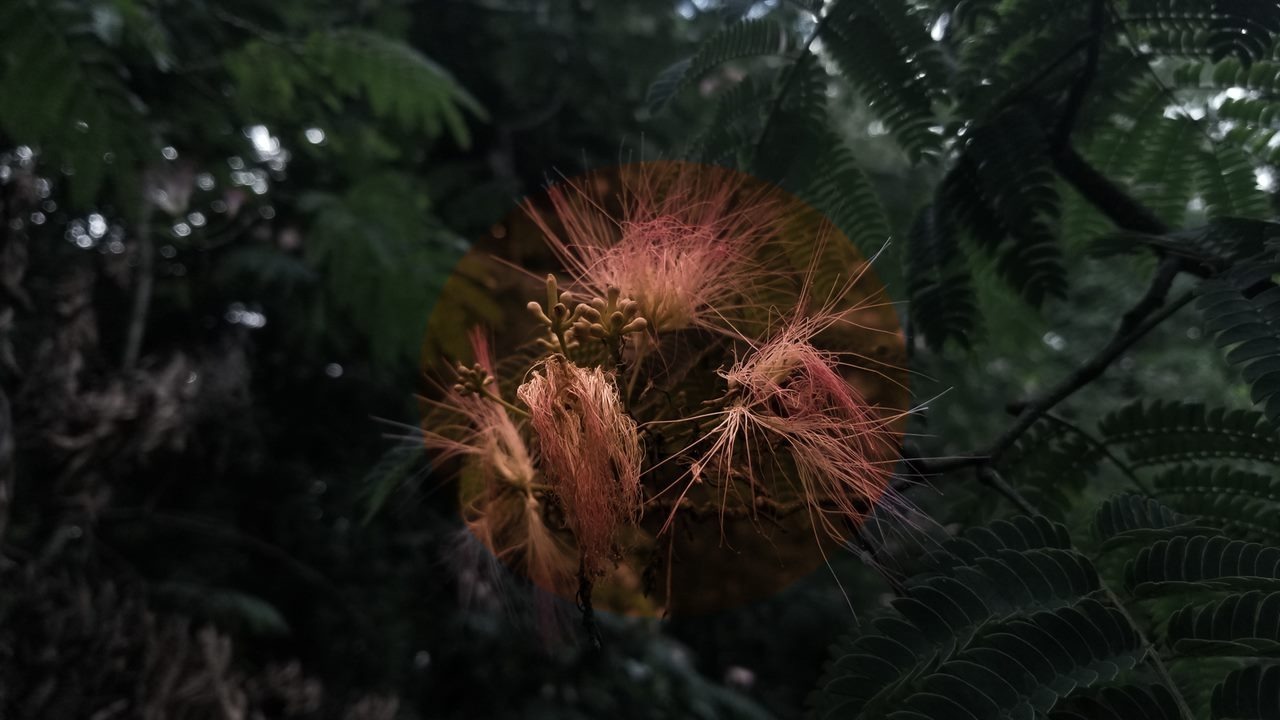 frankfrankgrimes OnlyFans header