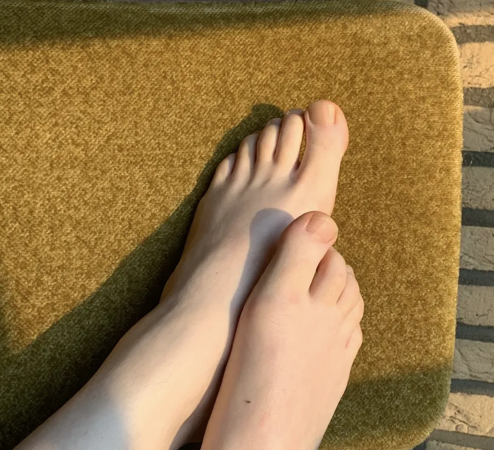 Frankieanddelphinestootsies