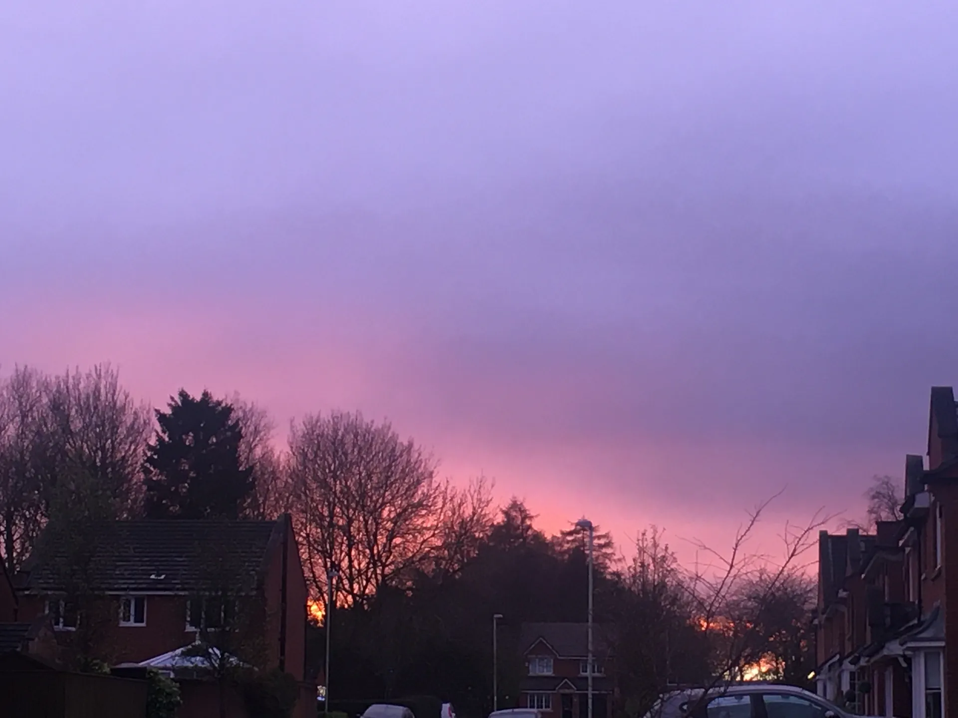 frankie OnlyFans header