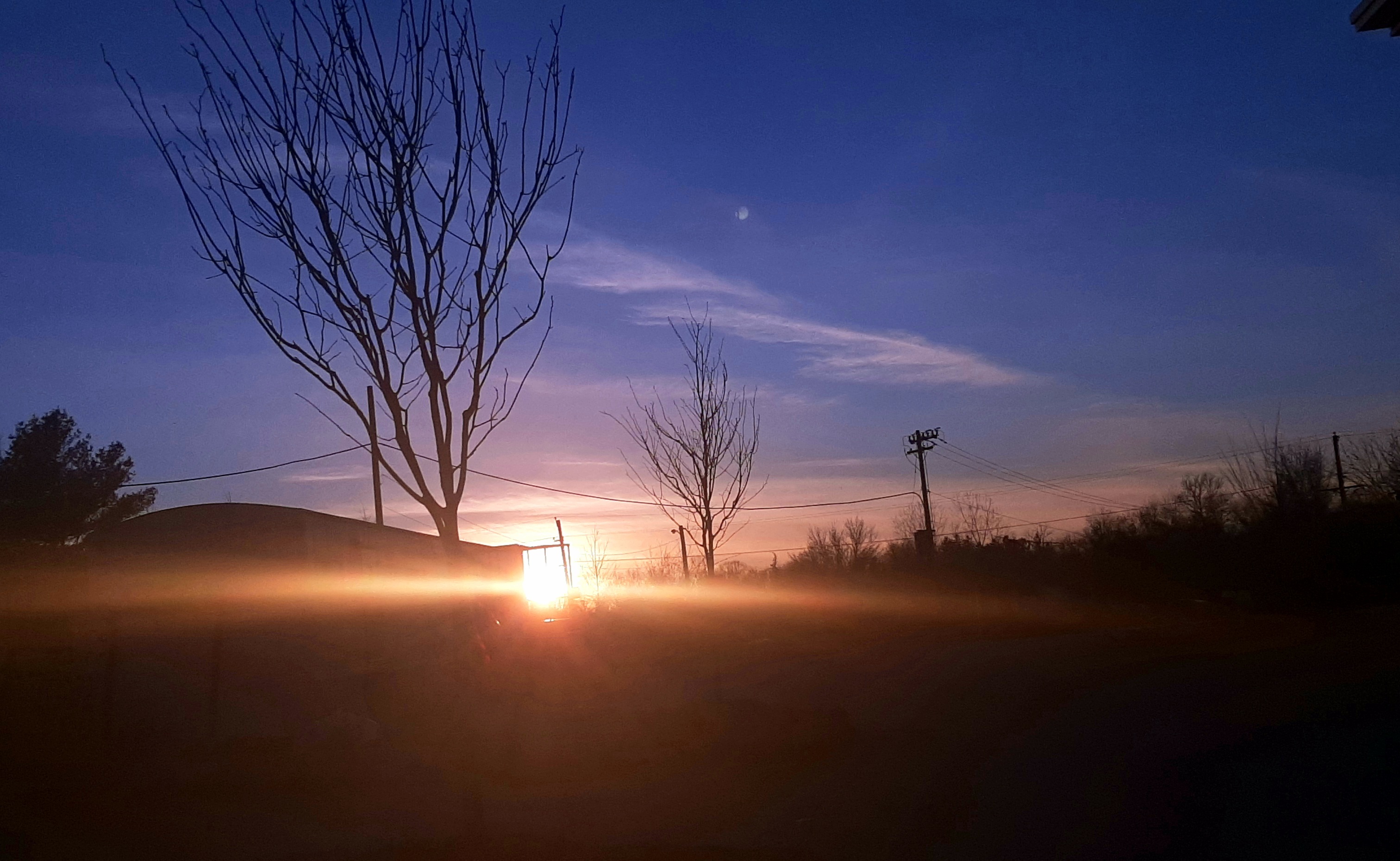 Frank'n'Weenie OnlyFans