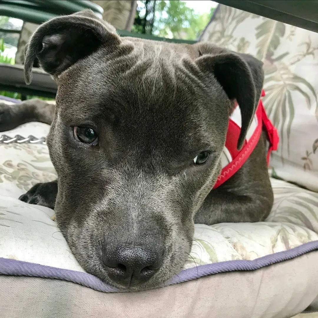 Frank'n'Weenie OnlyFans header