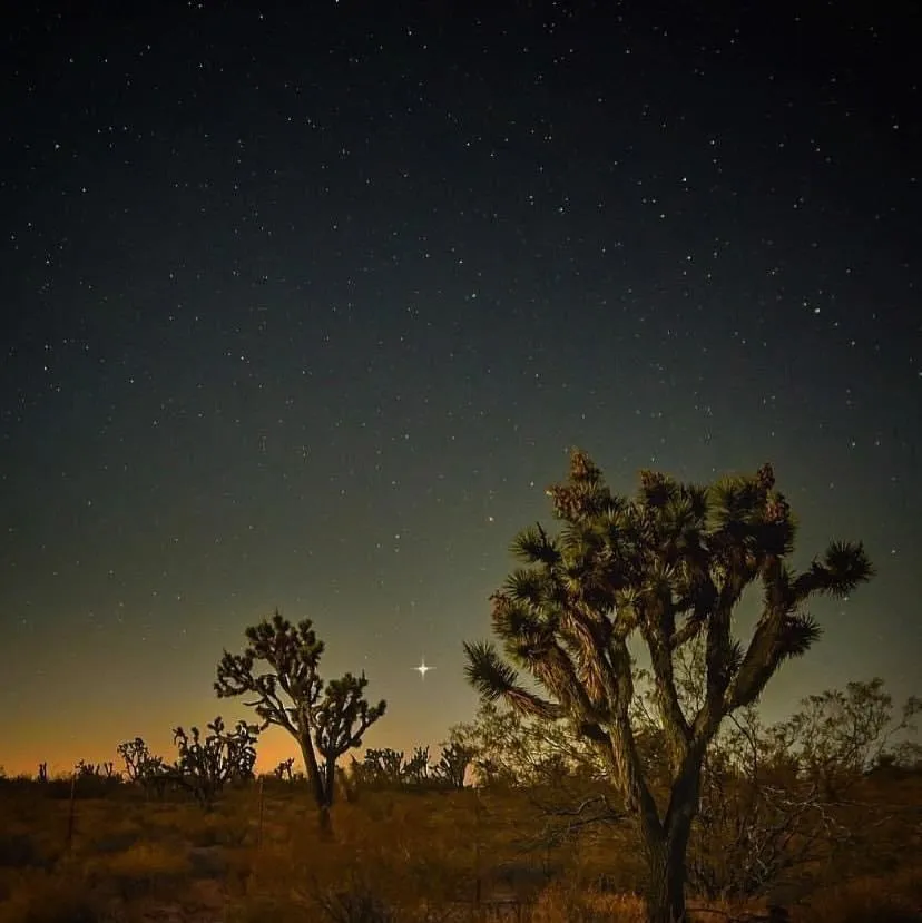 Frances 💋 OnlyFans header