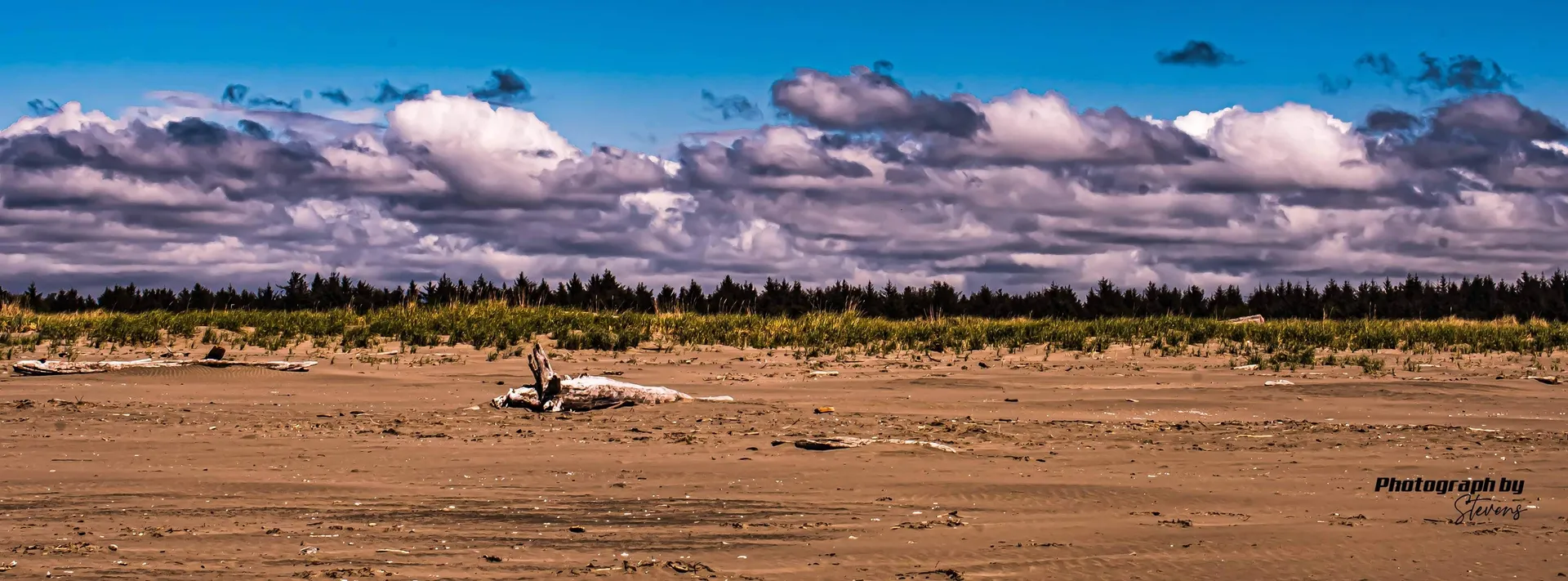 Single after 50 OnlyFans header