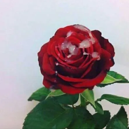 💋👑HoodQueen💋👑 OnlyFans header