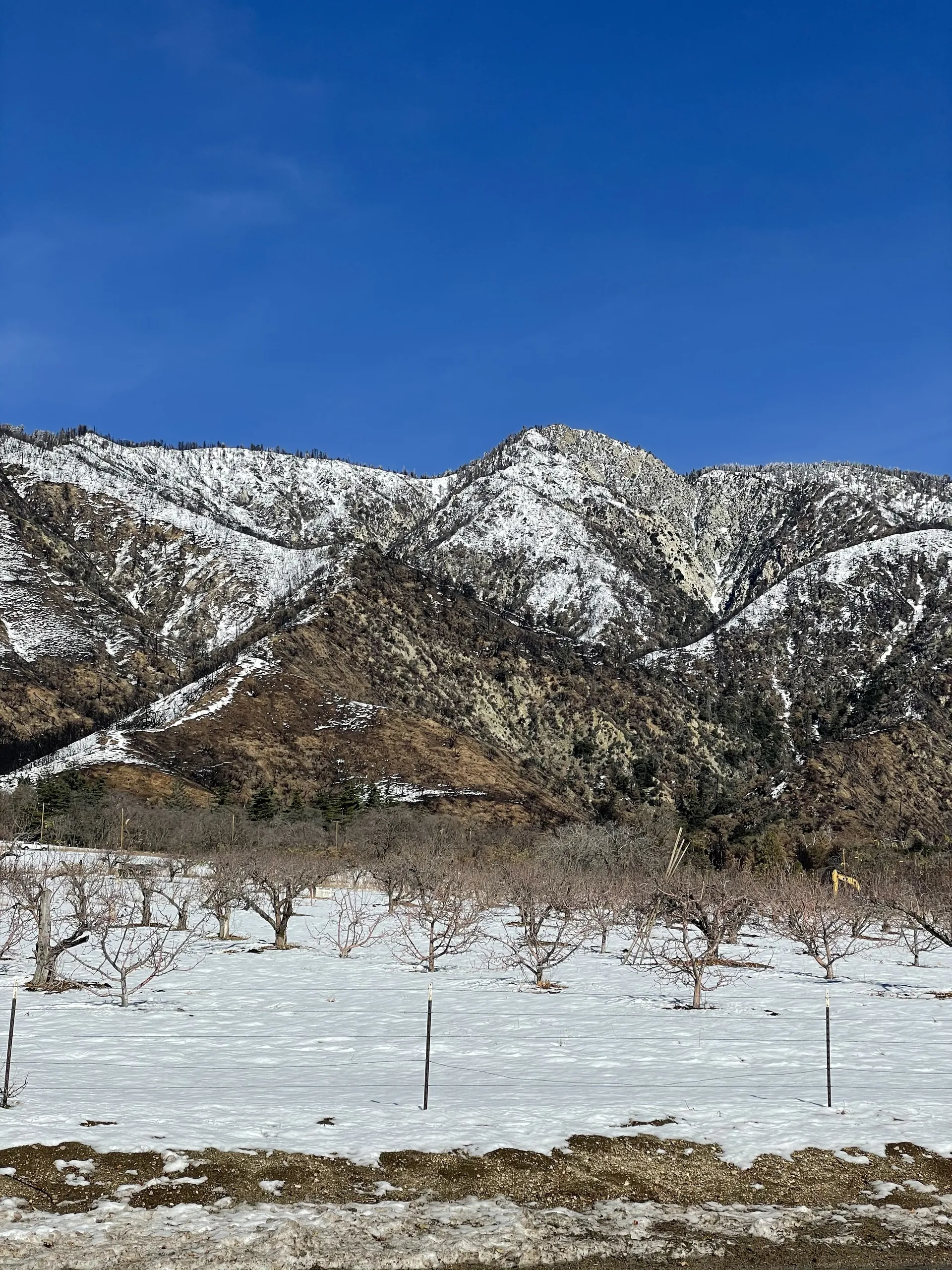 Big Gabe OnlyFans header