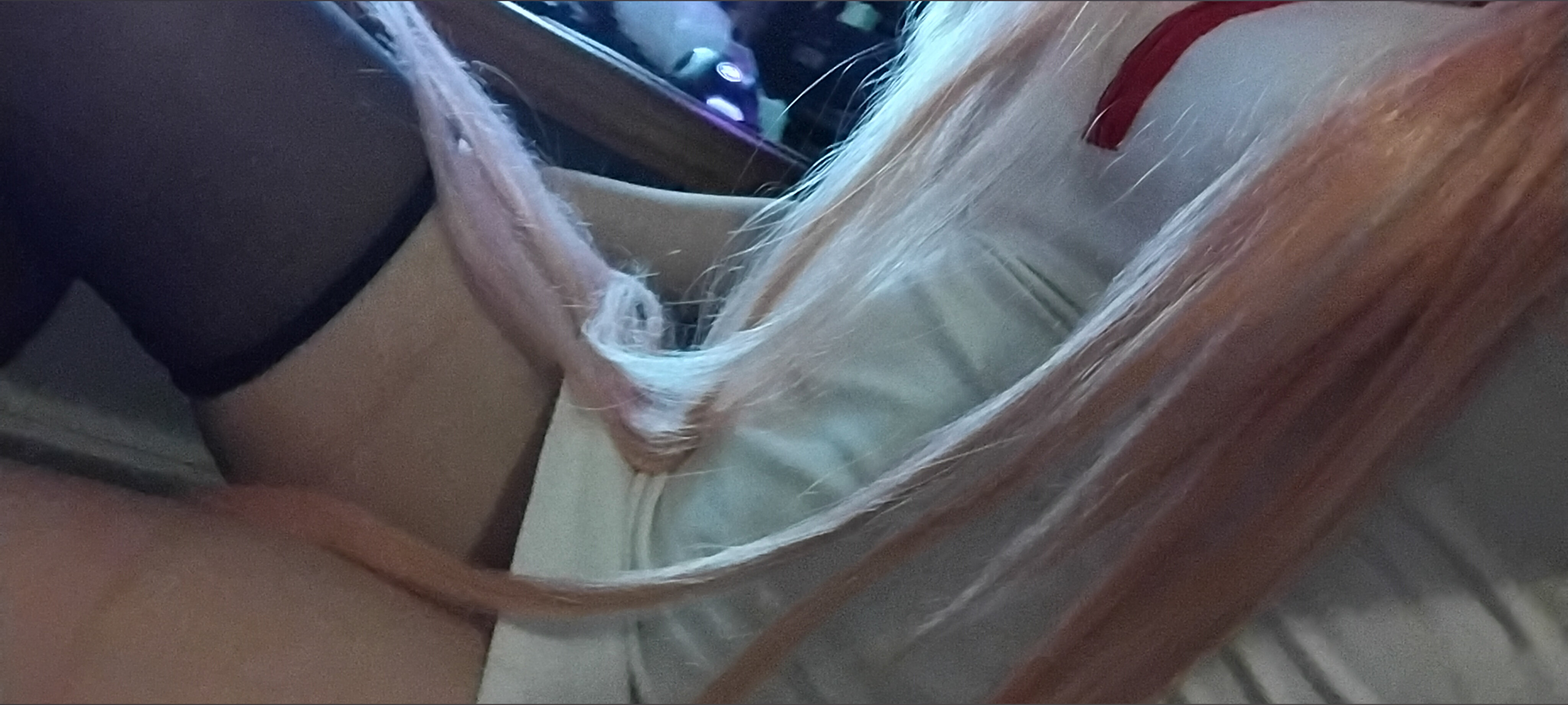 Elaskitty 🍭  🇦🇷 OnlyFans header