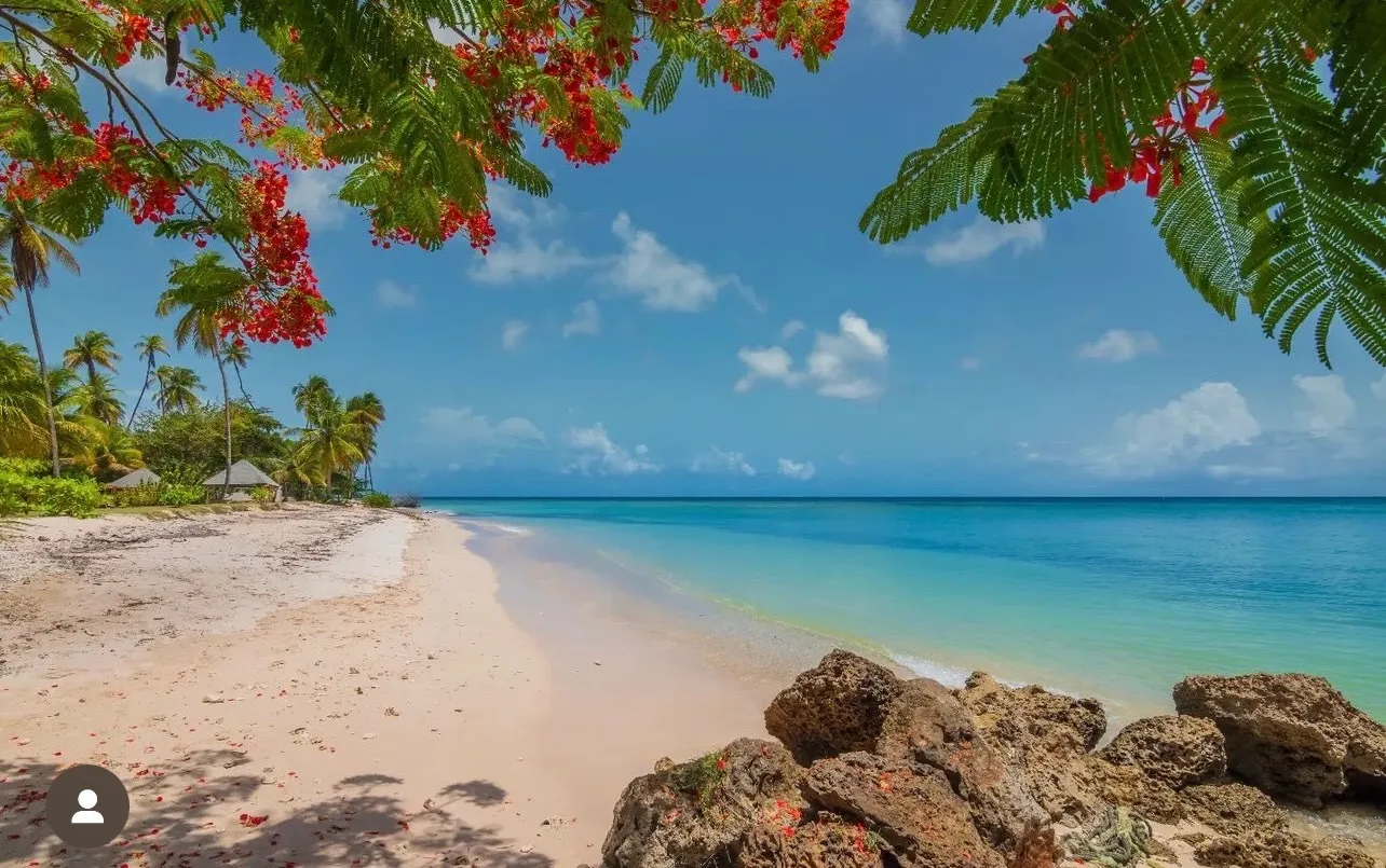 freakdoll vip OnlyFans header