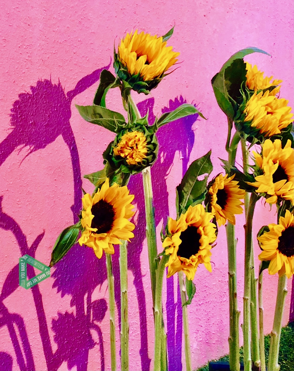 Kati OnlyFans header