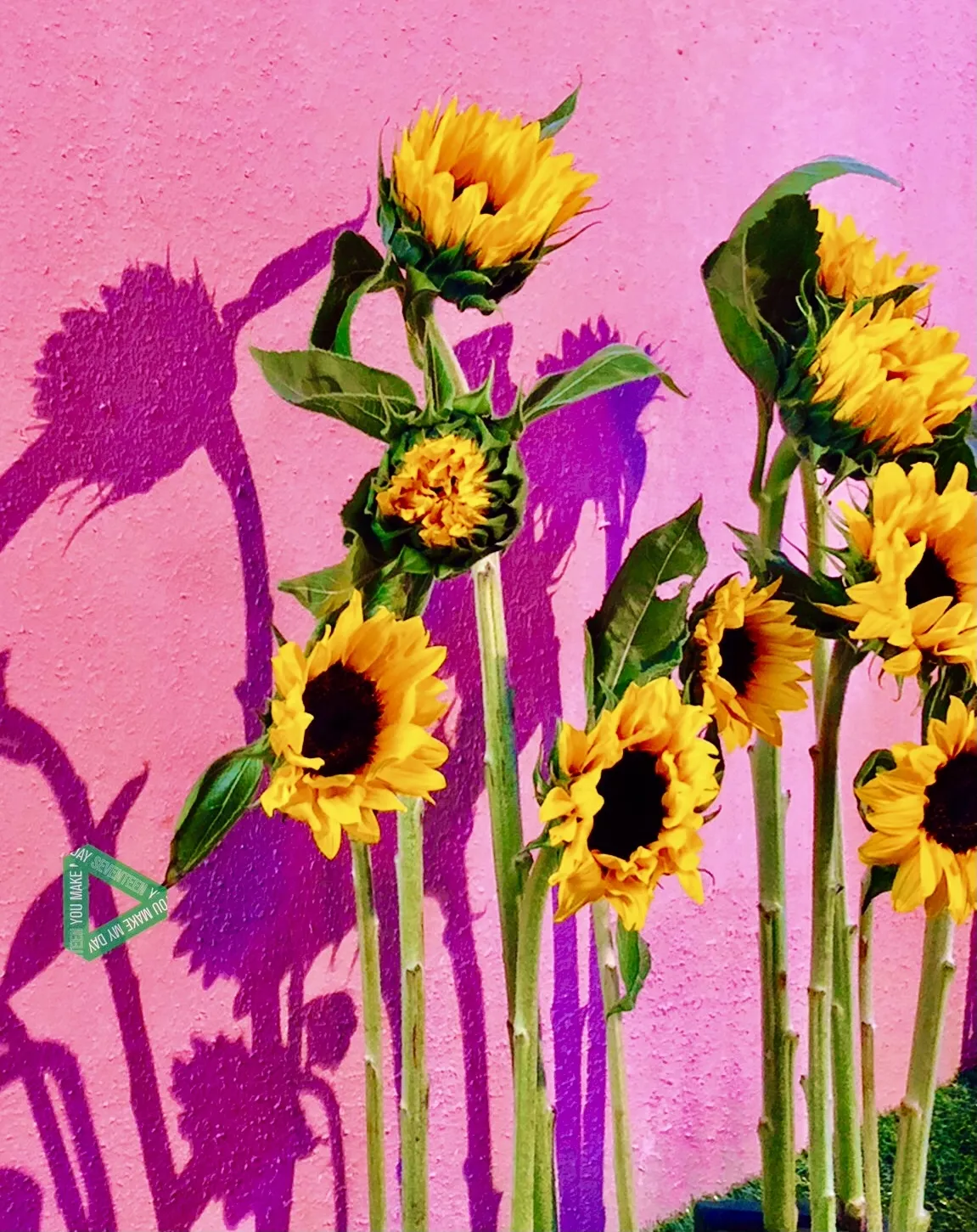 Kati OnlyFans header