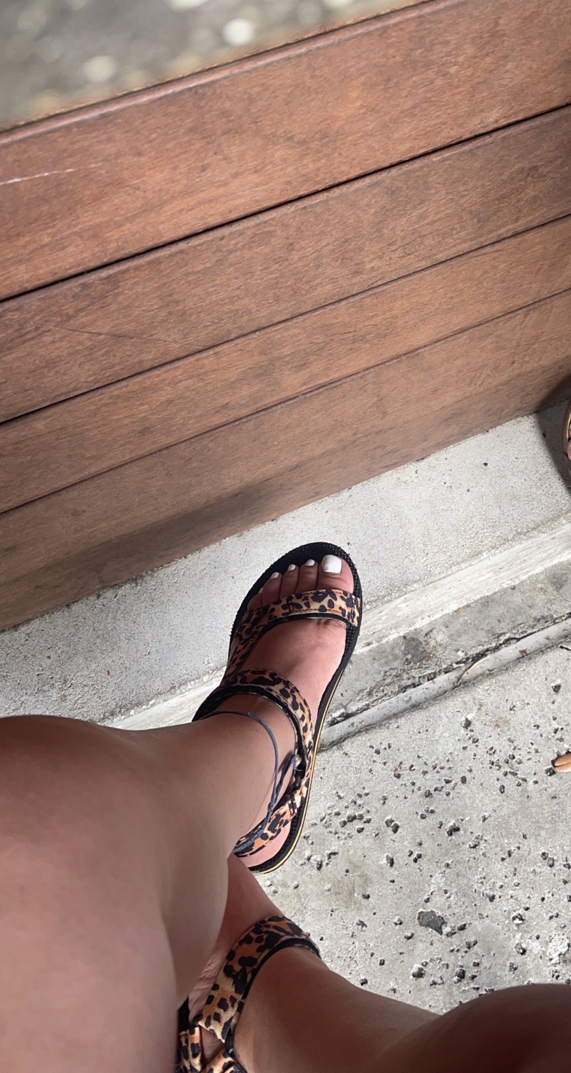 FreakNastiTreatz OnlyFans