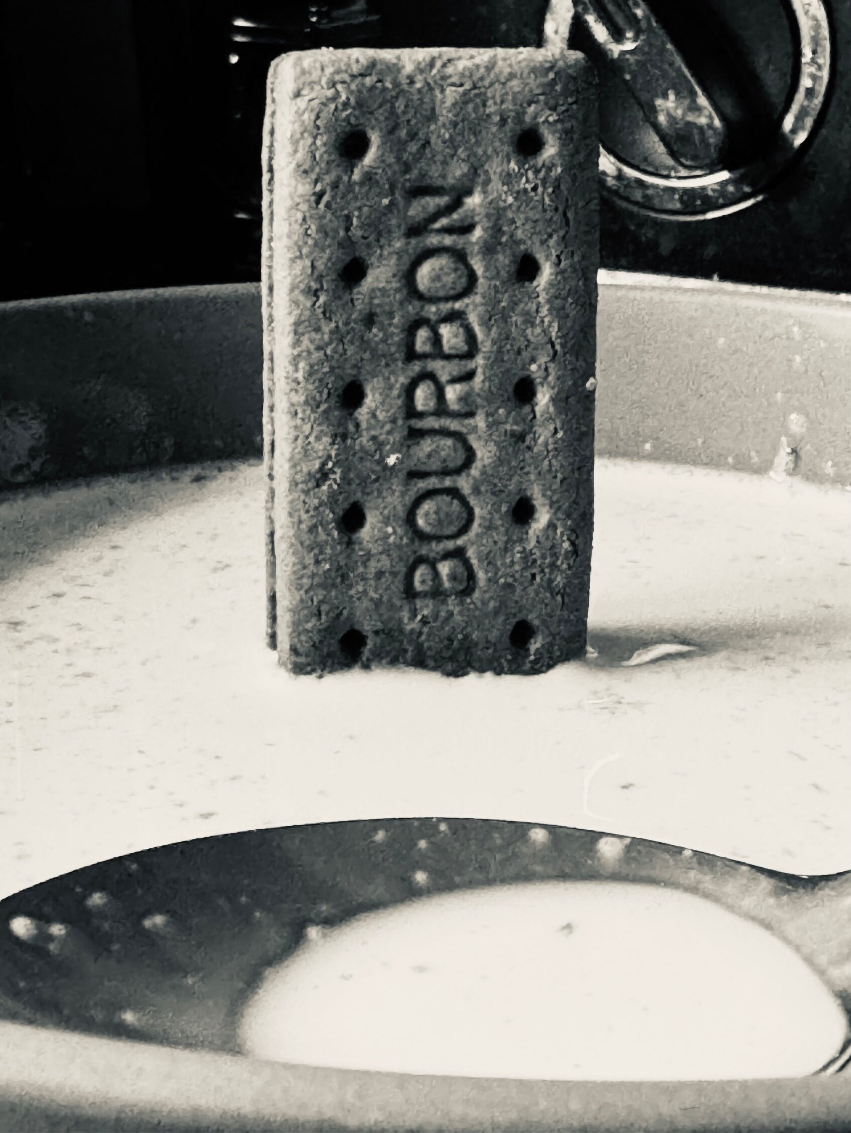 Fluffy Wookie OnlyFans header