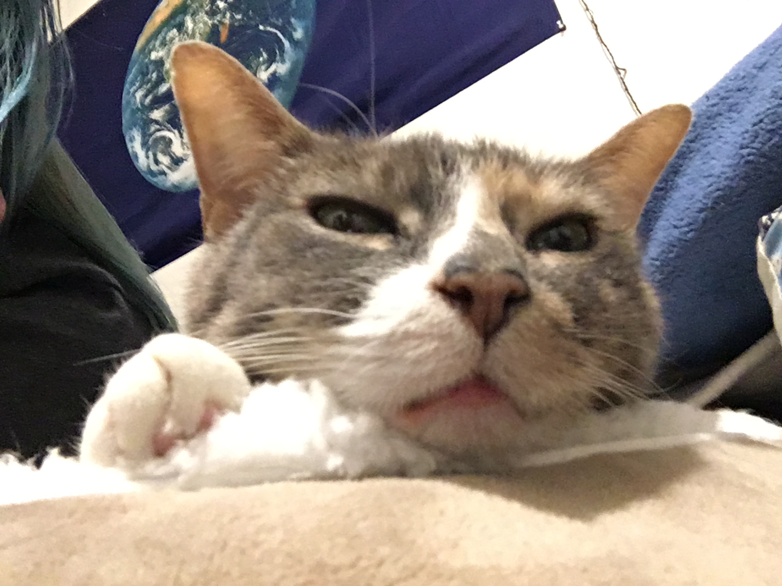 FREAKY FAYE 🤤🧚‍♂️ OnlyFans header