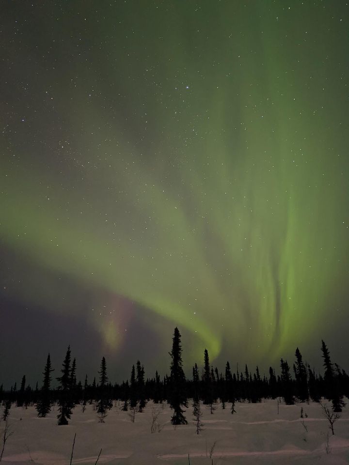 Josh OnlyFans header