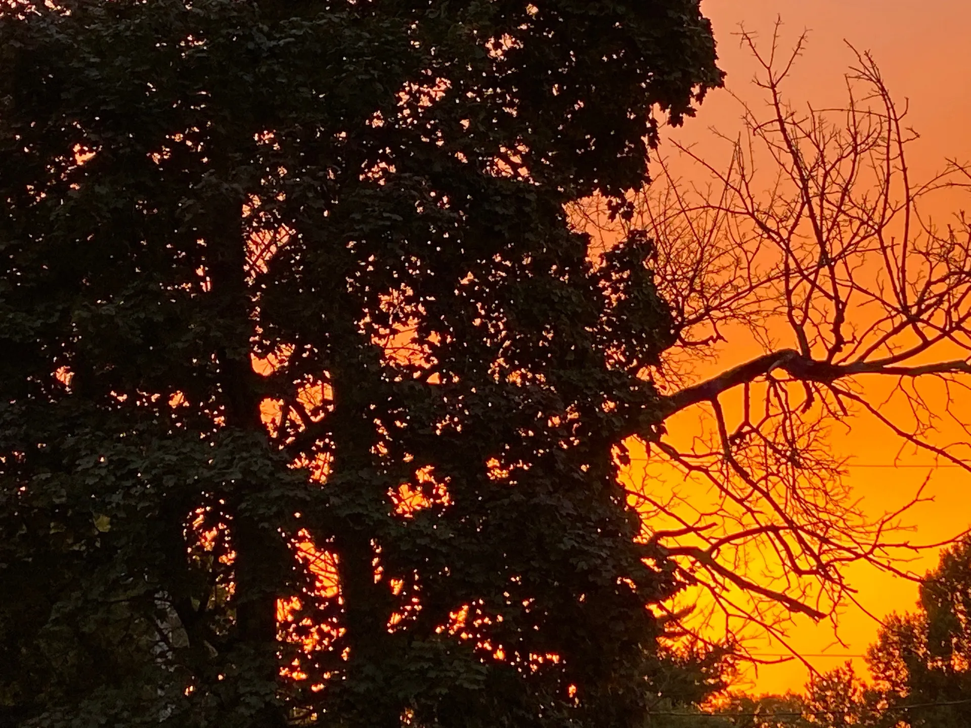 W&amp;C OnlyFans header