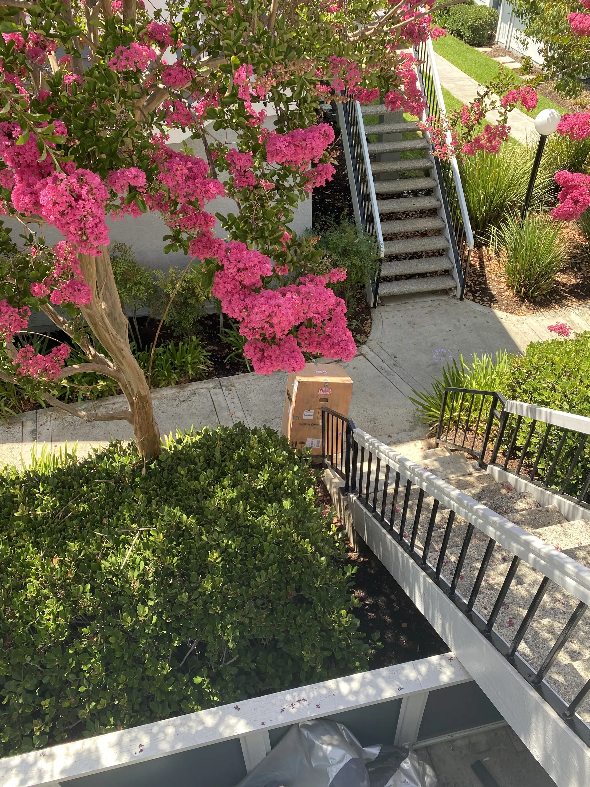 ZacLee OnlyFans header