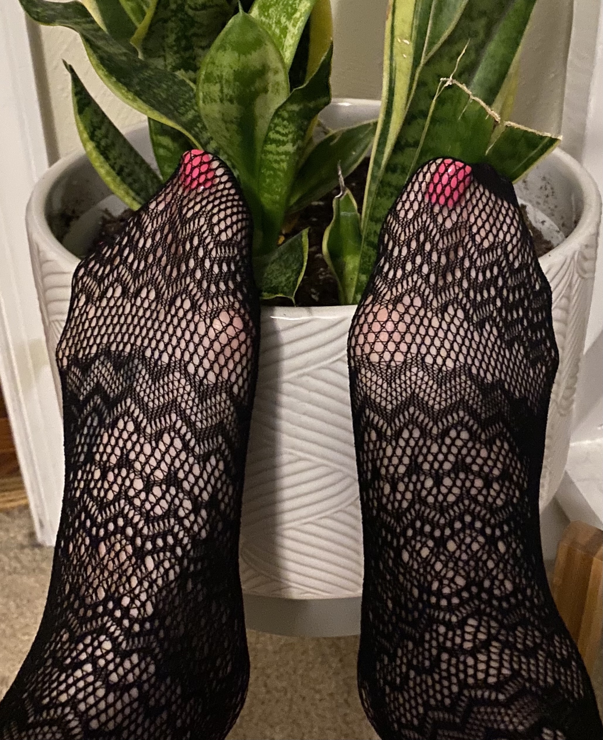 FreakySkeetFeet OnlyFans