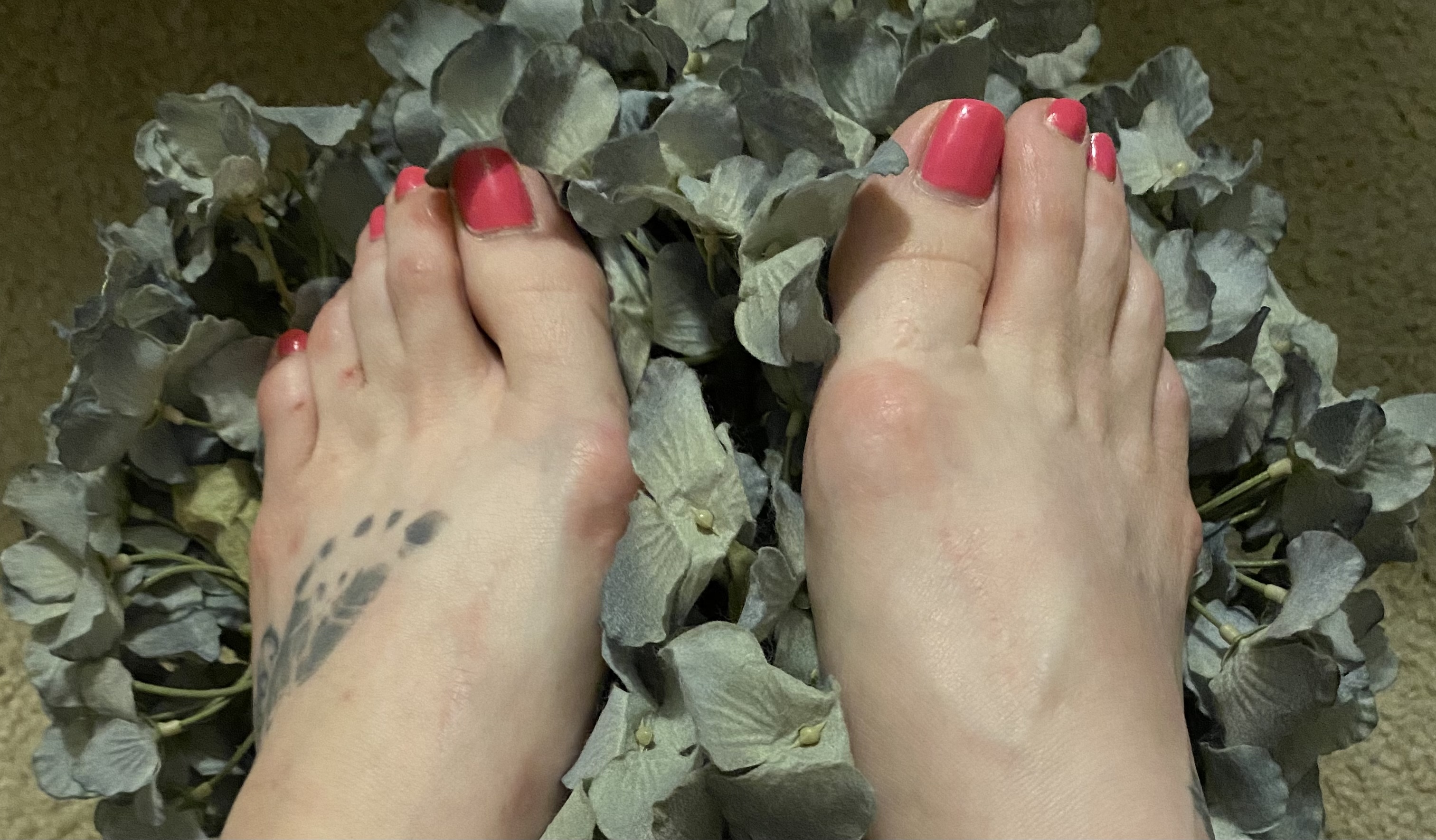 FreakySkeetFeet OnlyFans header