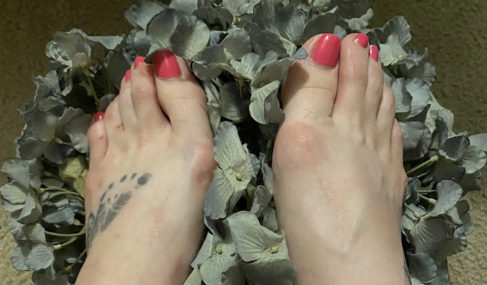 FreakySkeetFeet OnlyFans header