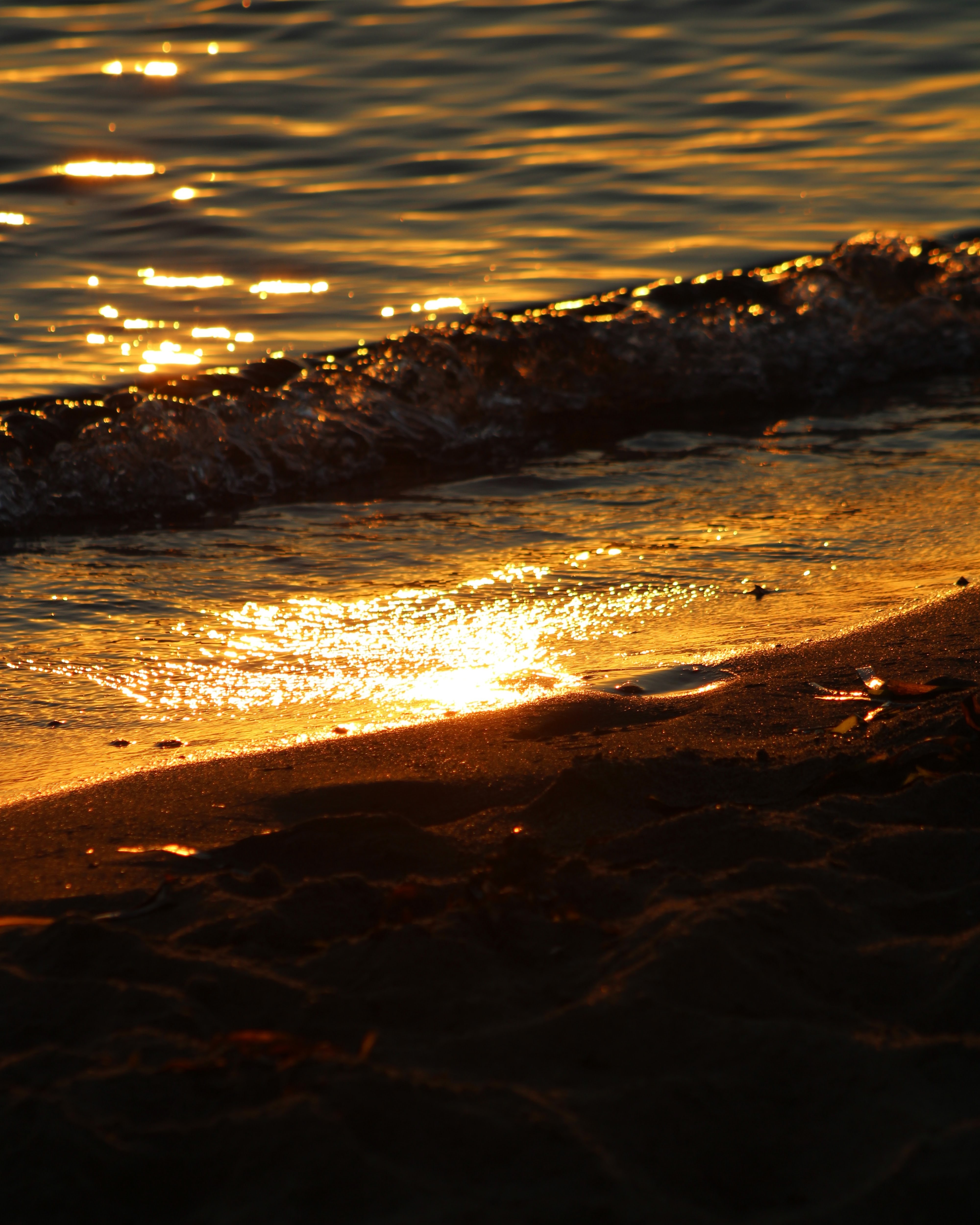 Aoineko👑 OnlyFans