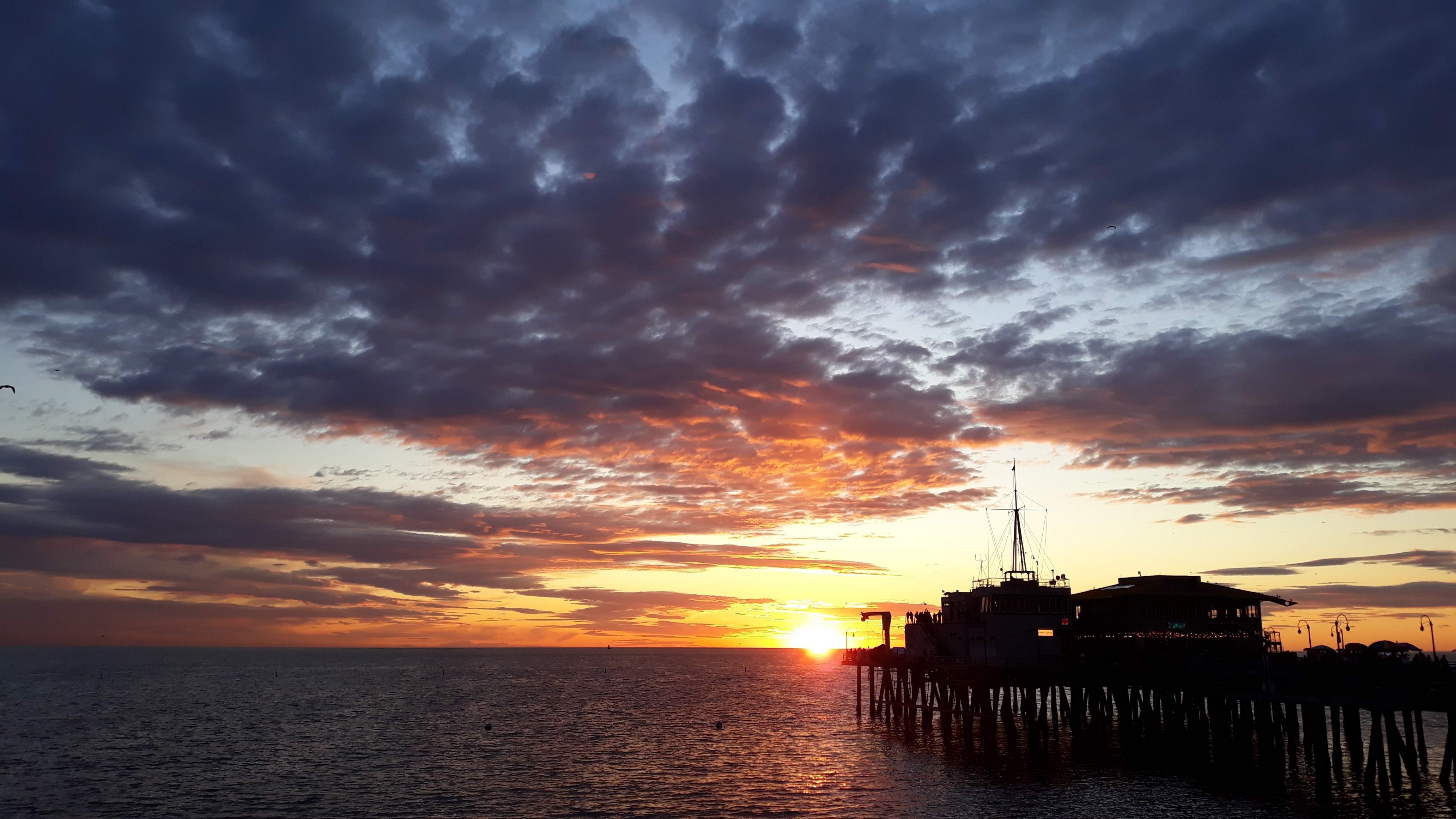 Aoineko👑 OnlyFans header