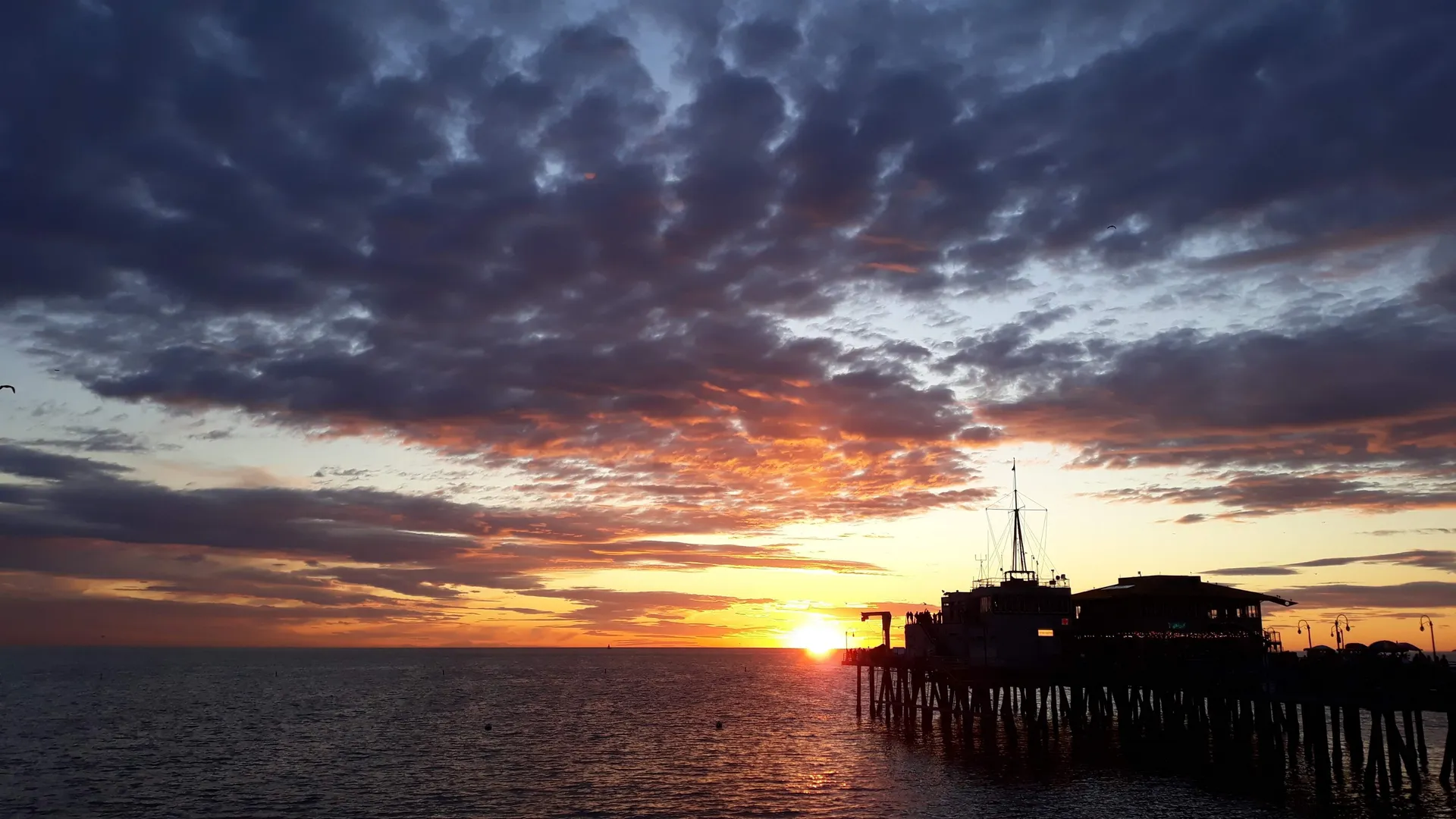 Aoineko👑 OnlyFans header