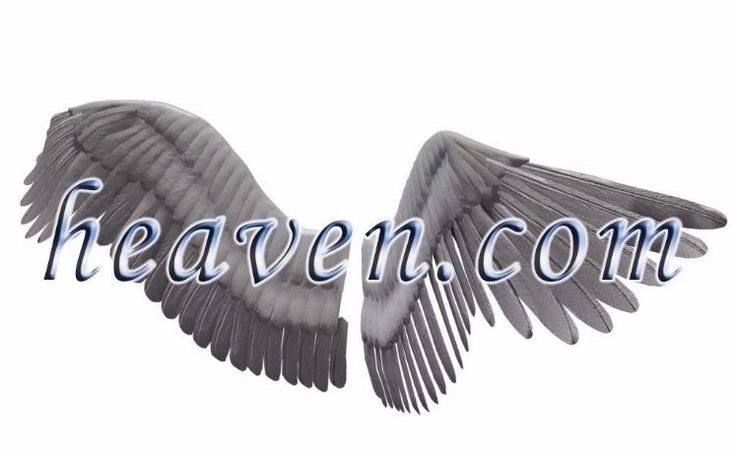 🫢 OnlyFans header