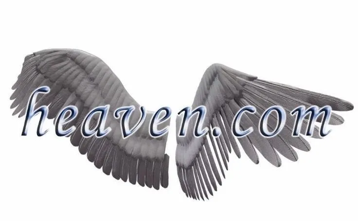 🫢 OnlyFans header