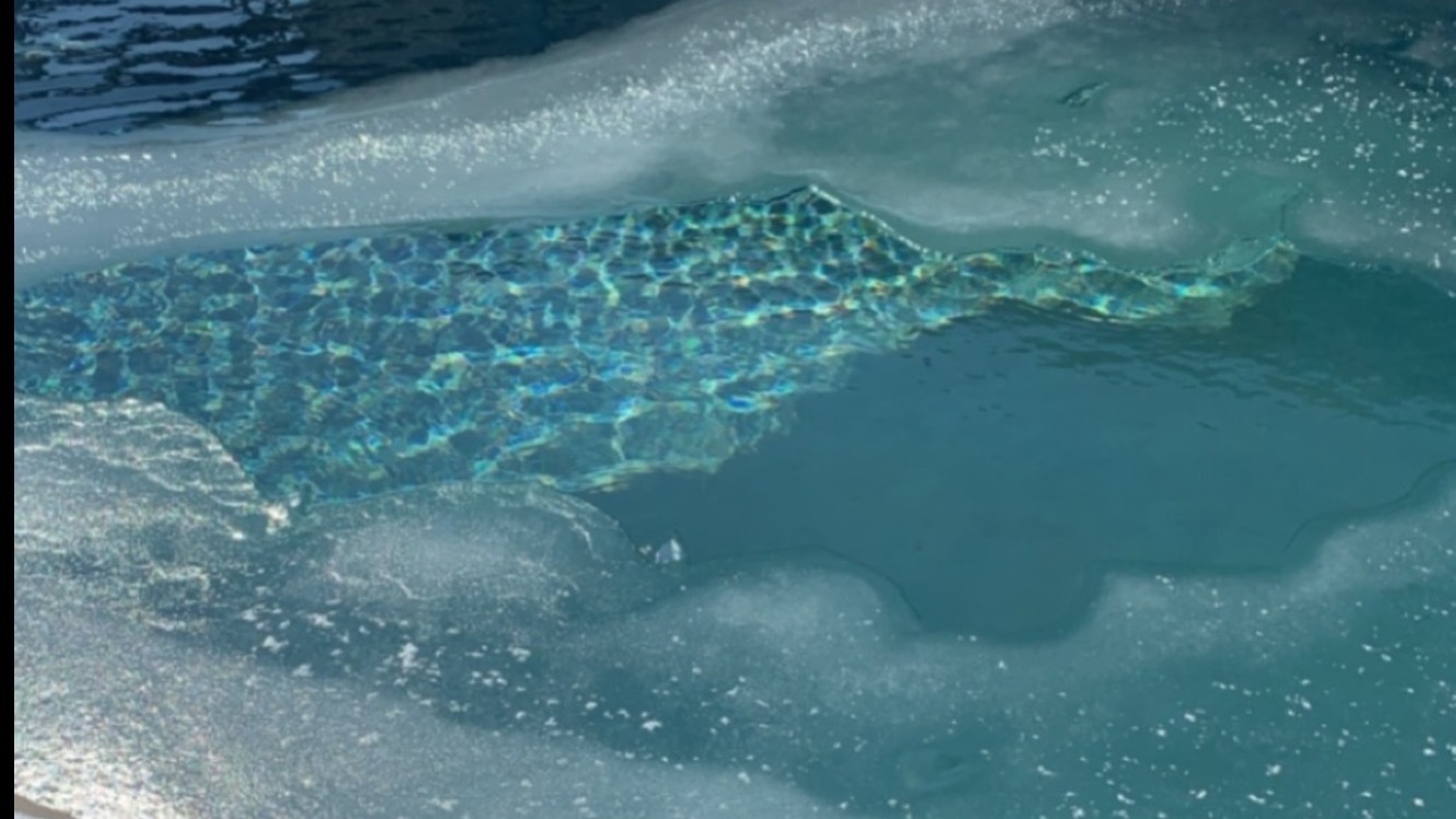 Jacque🐰 OnlyFans header