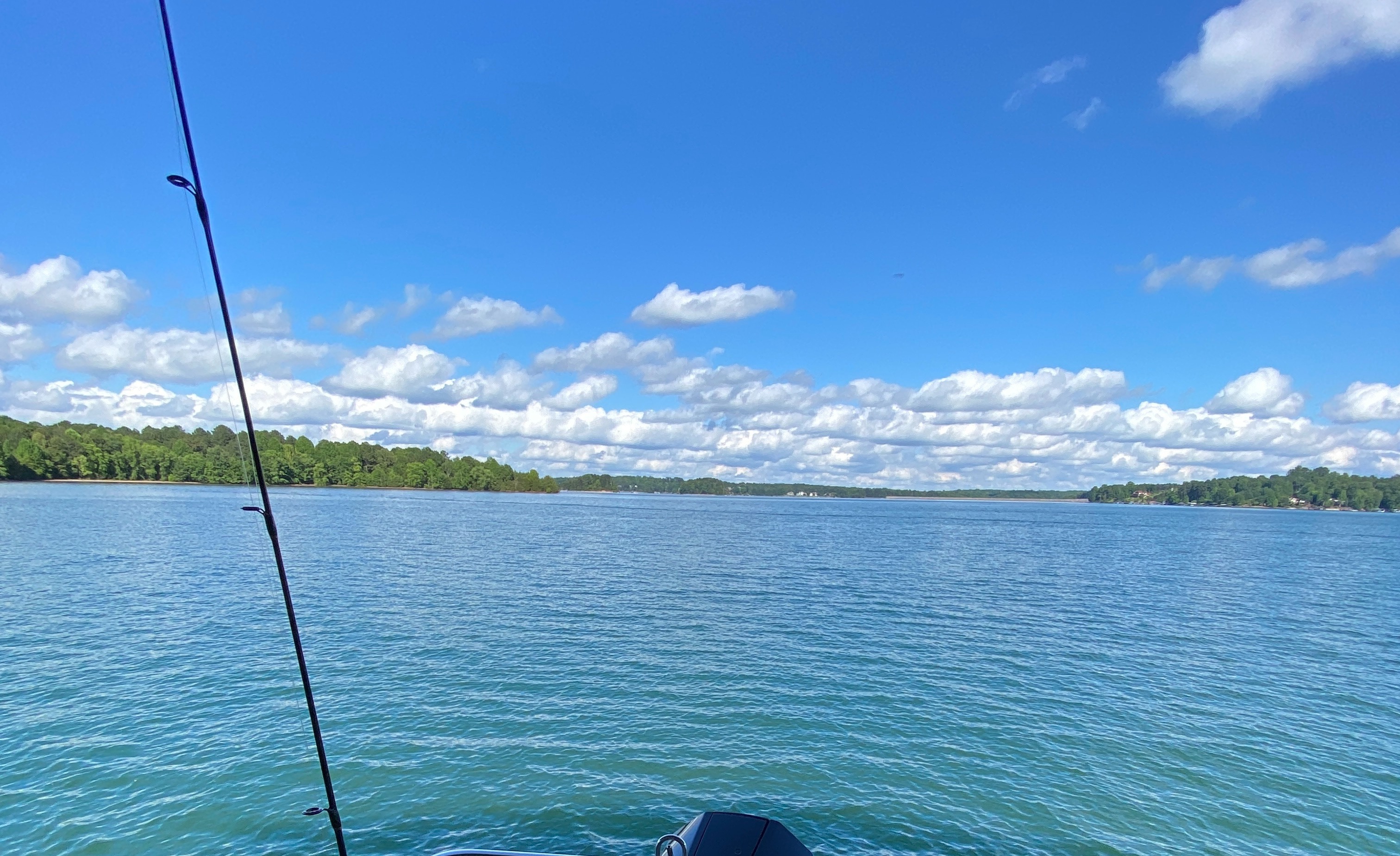 FreckledPegger58 OnlyFans header