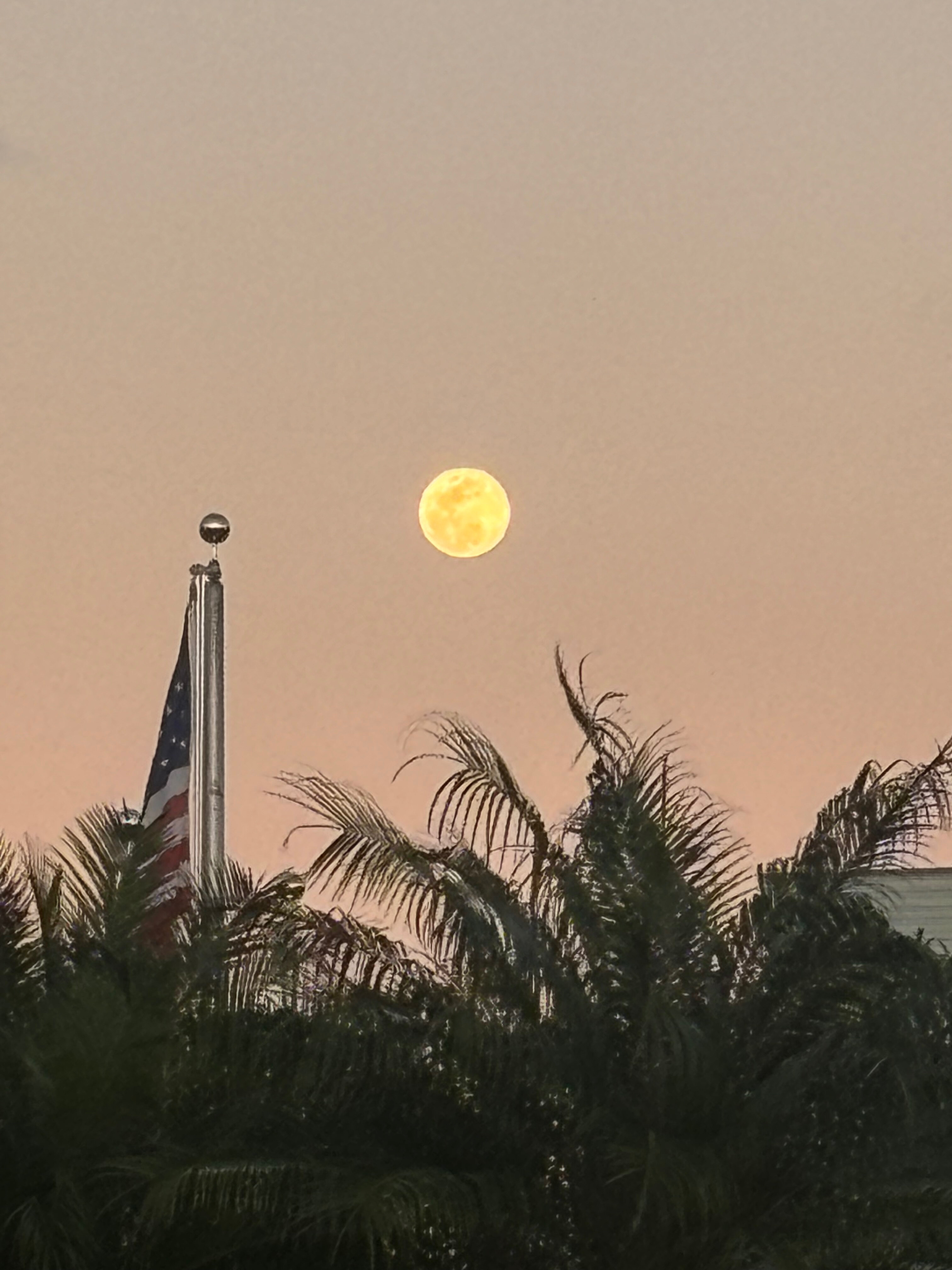 Dwight Leon OnlyFans header