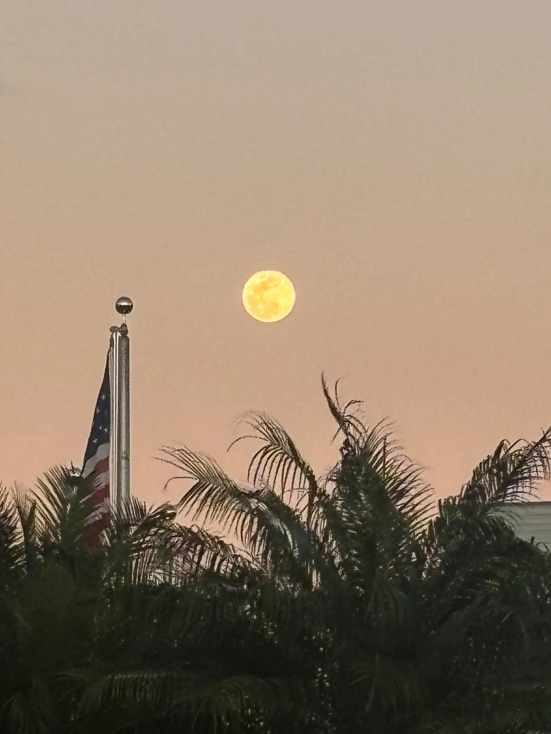 Dwight Leon OnlyFans header