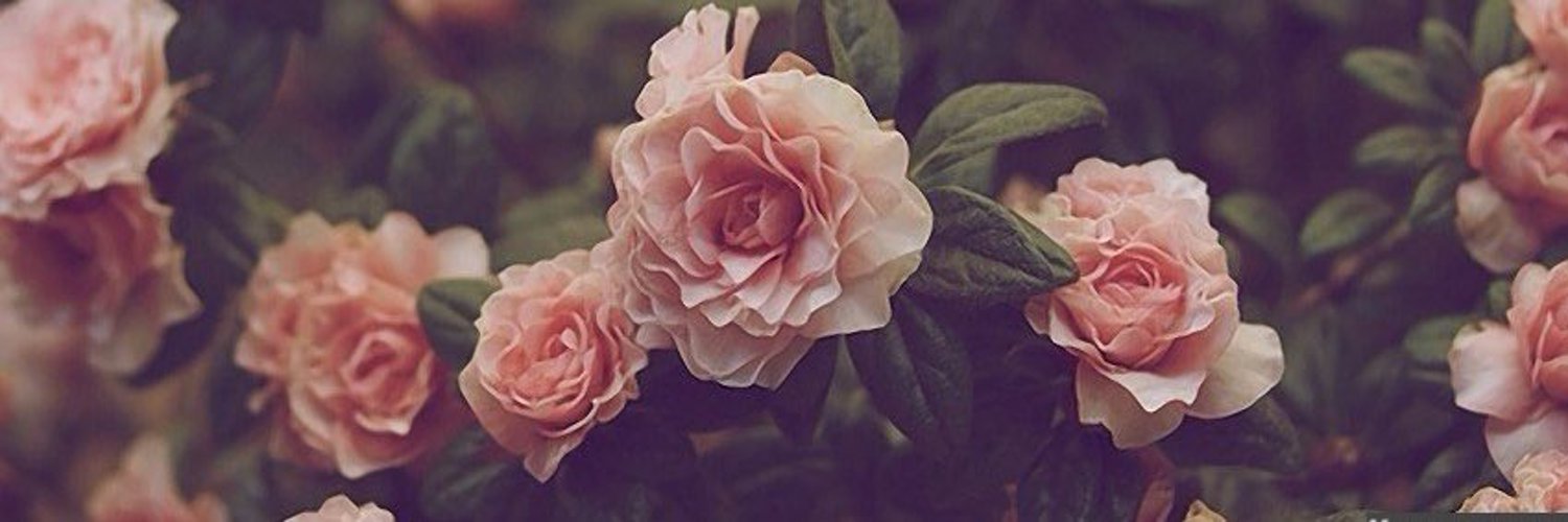 Freddie Ayee OnlyFans header